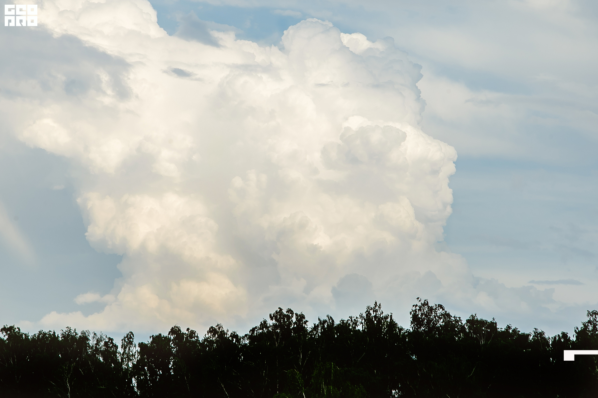 362  06192022  233635 .jpg