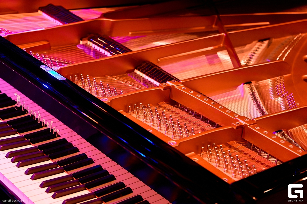 Pianissimo: Константин Франтц 23