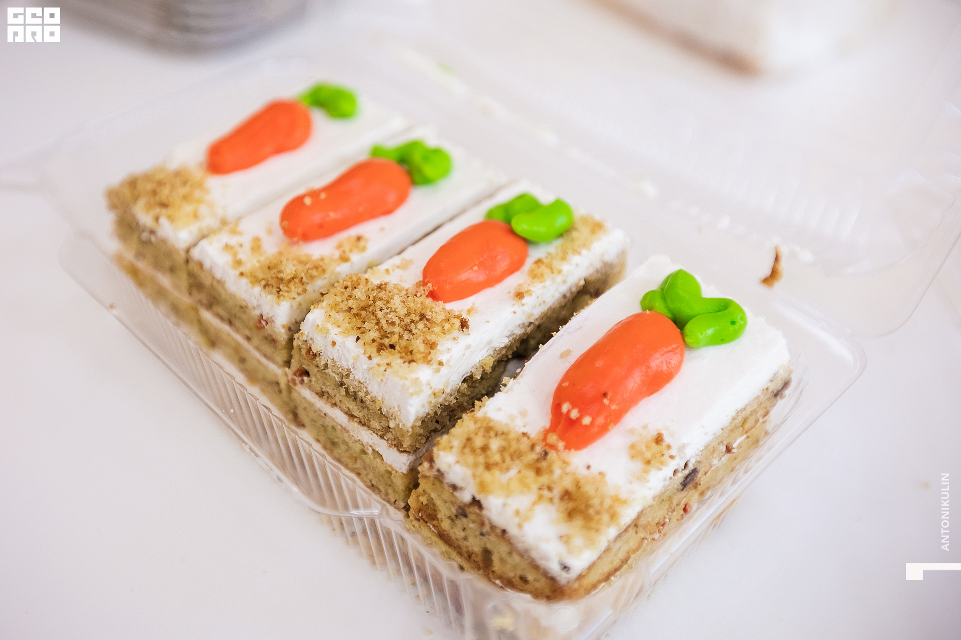 untitled shoot-9862.jpg