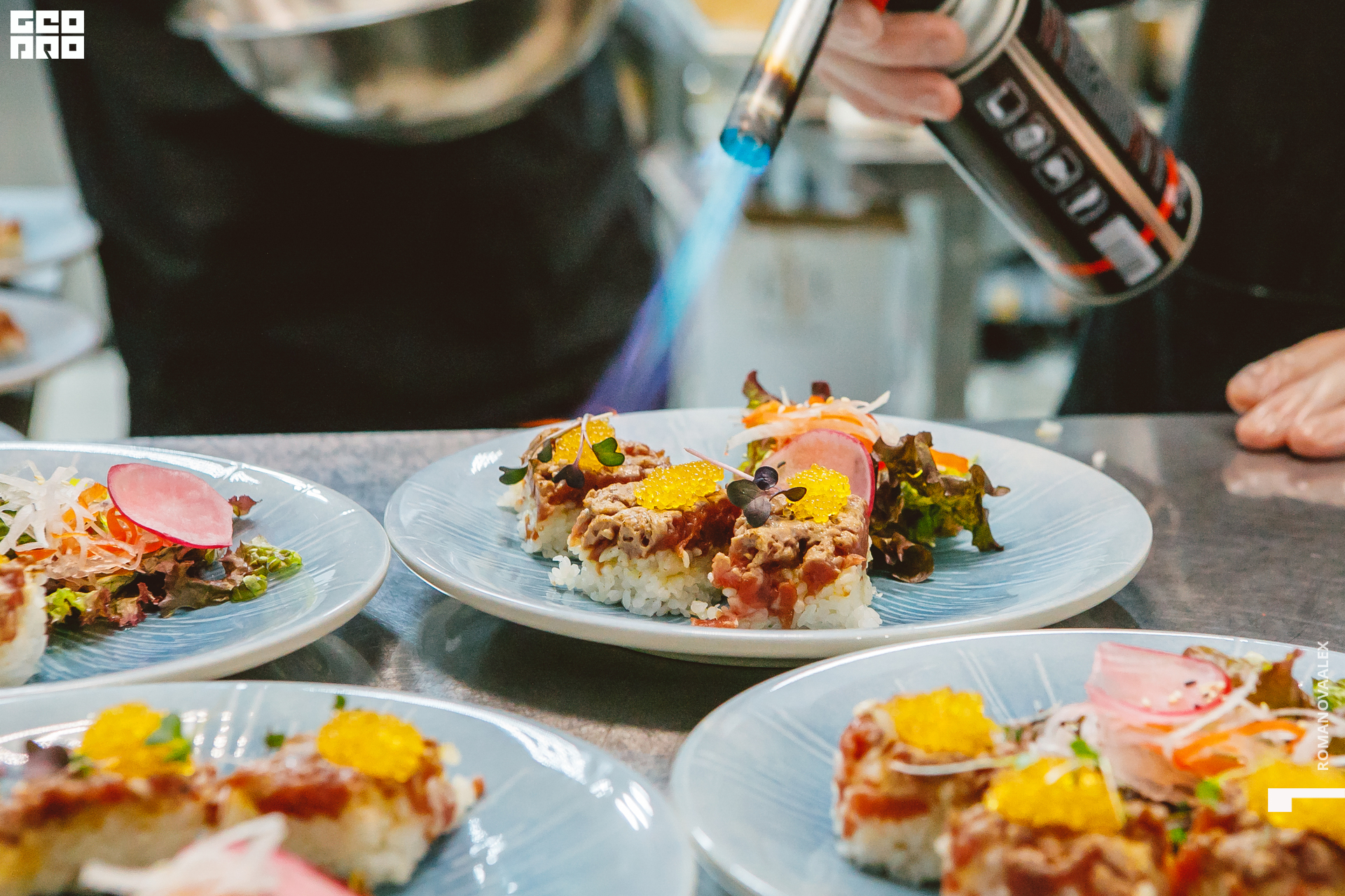 048 201122  195318 @romanovaalex.jpg