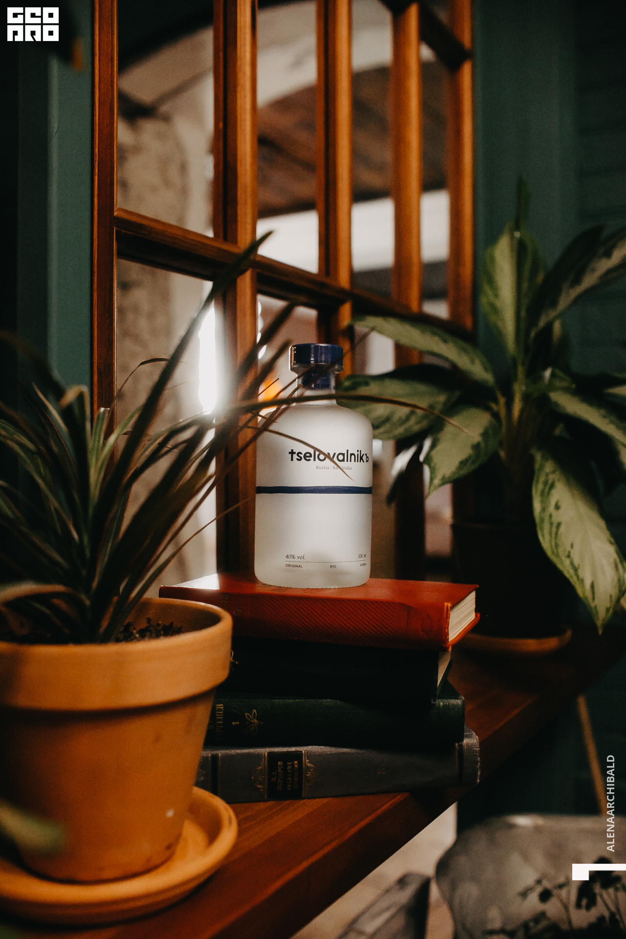 2022-03-06 19-00-24_alenaarchibald021.JPG