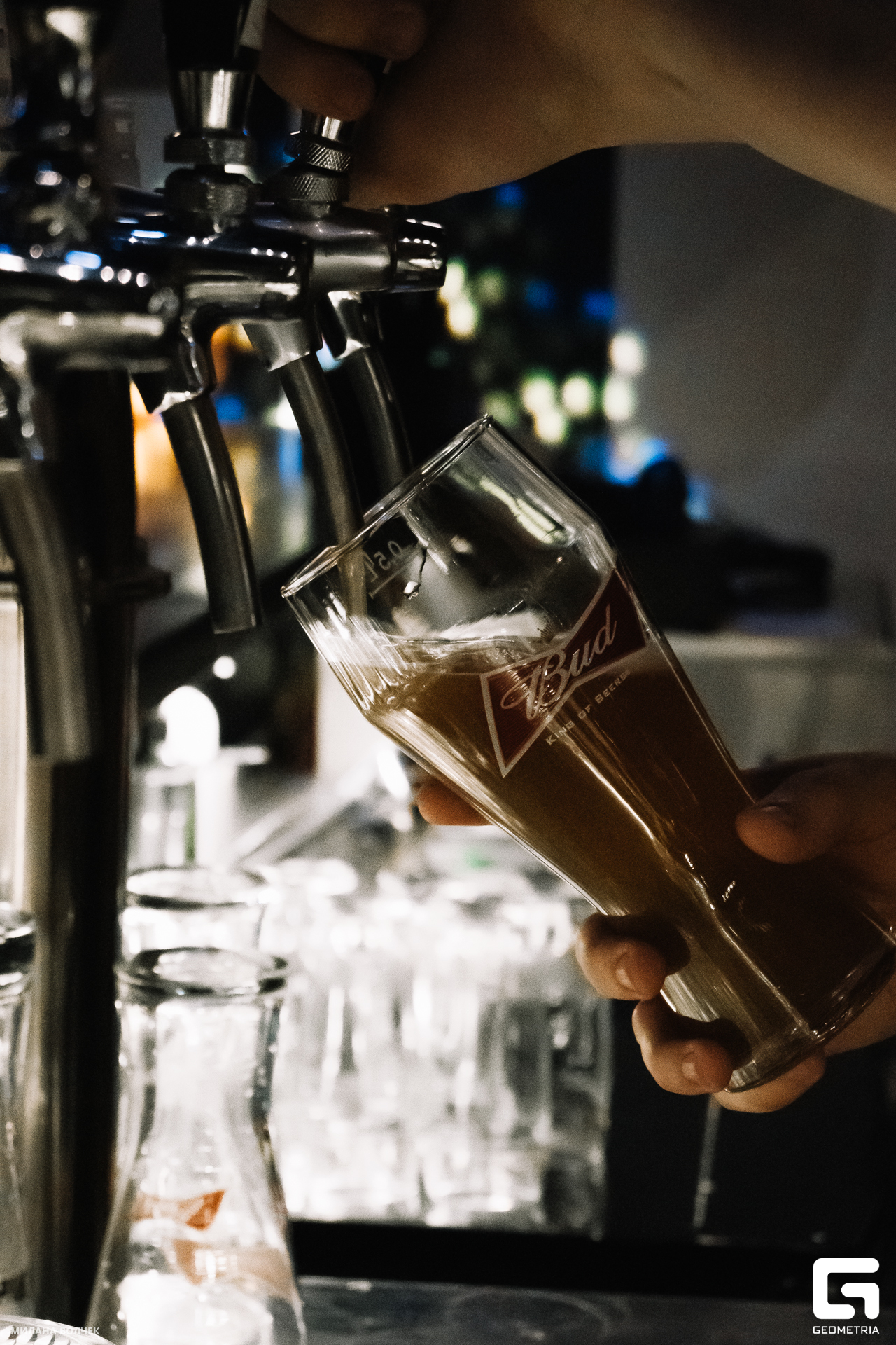 087_20231117 Волчек.jpg