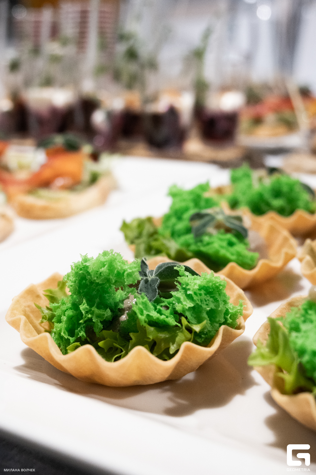 106_20231111 Волчек.jpg