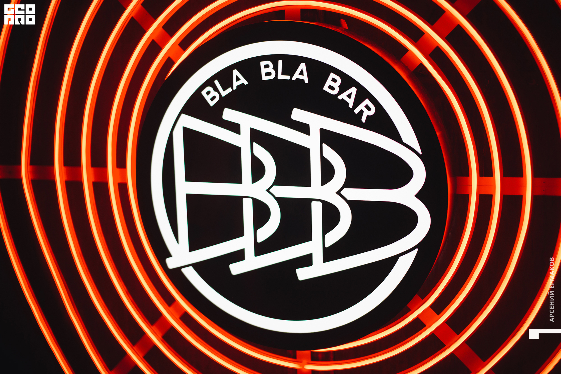 067 2022-08-15-000519_arseniyermakov.jpg