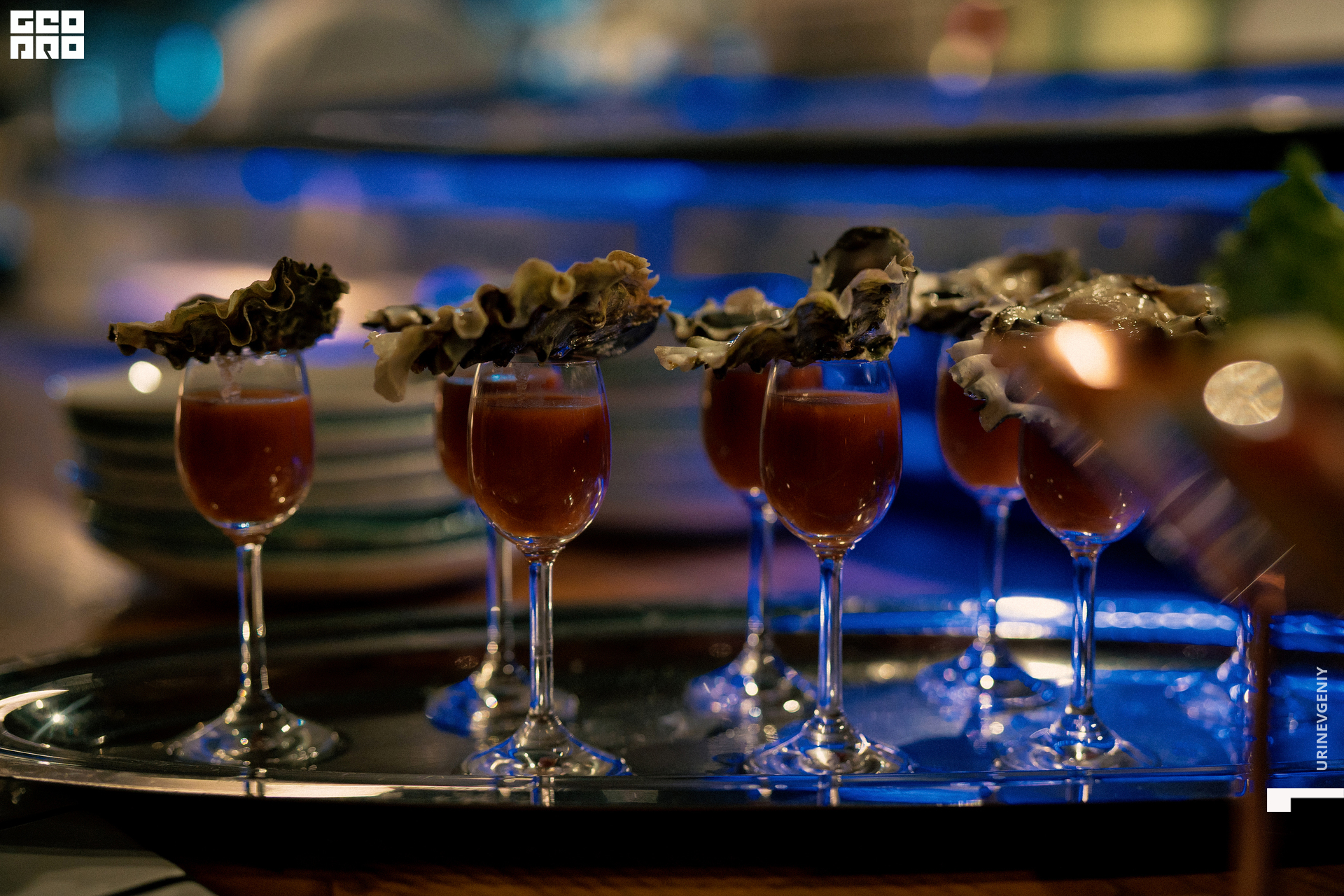 31.10.2021. Kraken (3).jpg