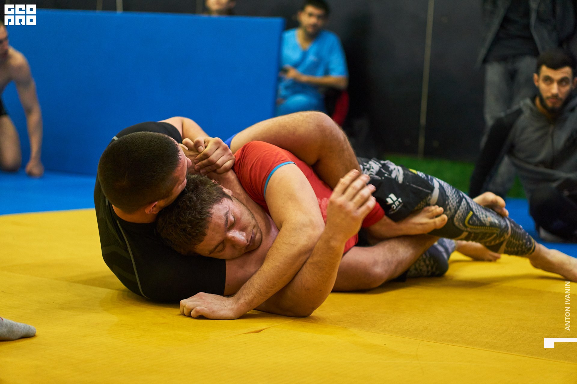 DSC09360 (Копировать).jpg