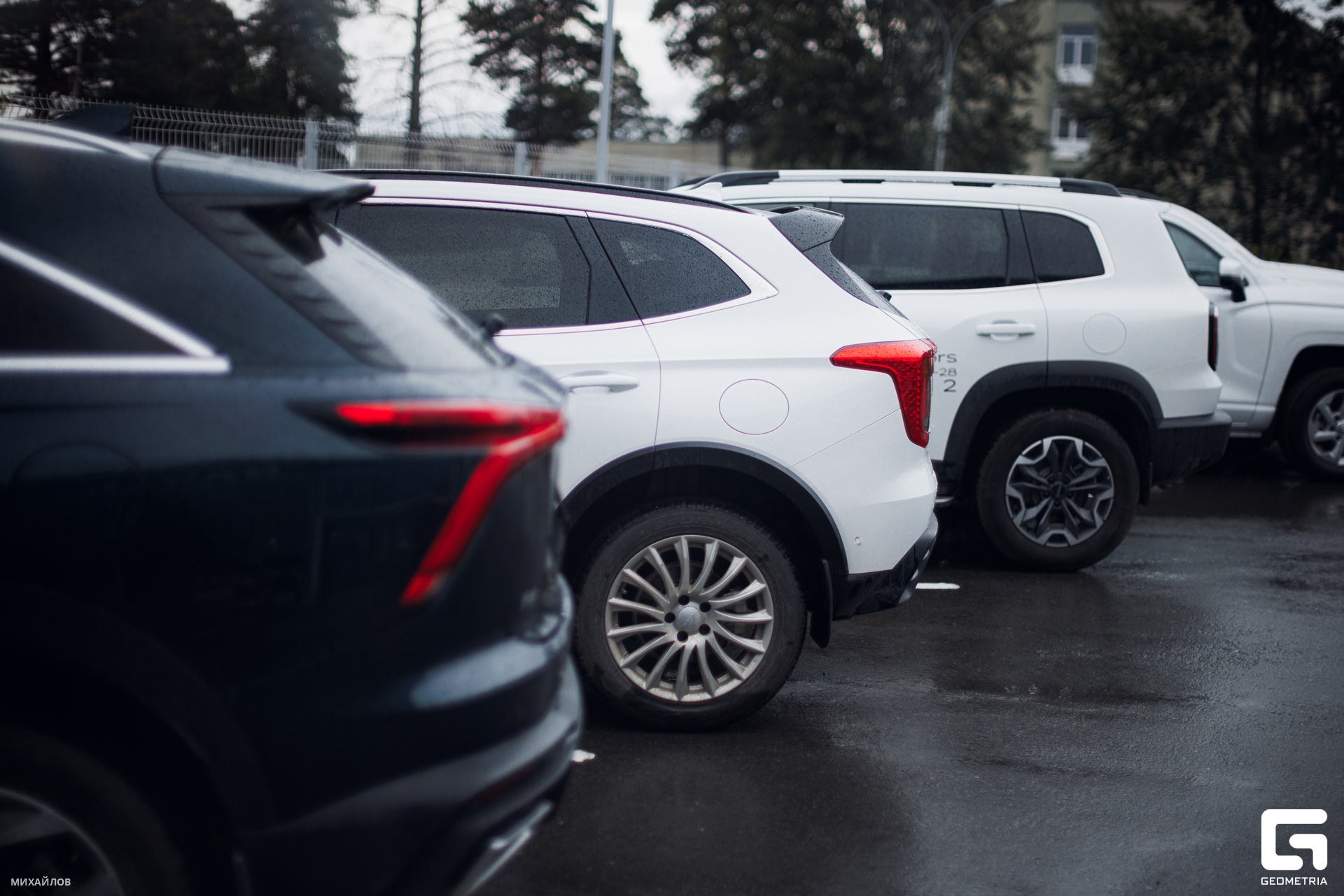 334-270625-4355 Mikhailov-web.jpg