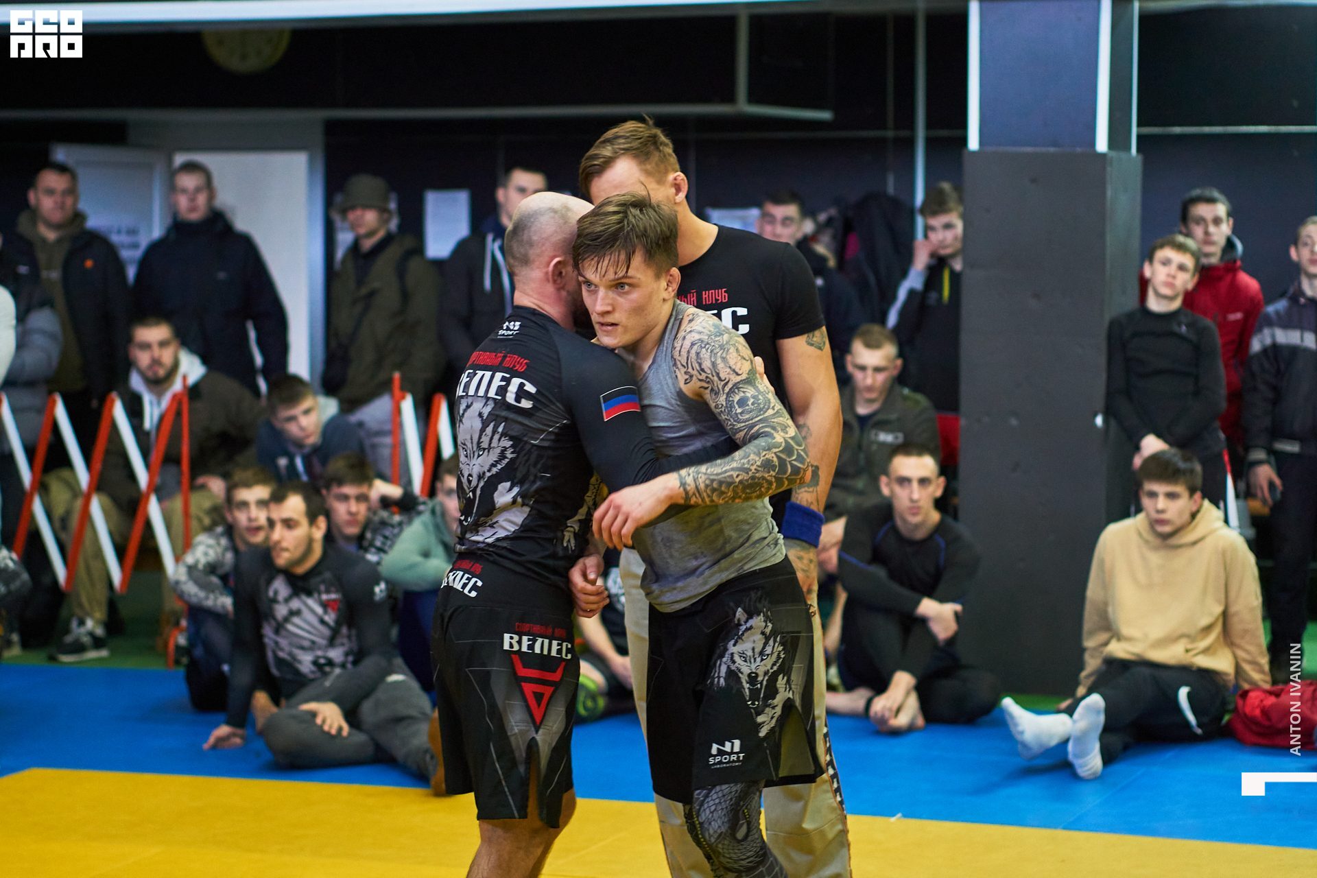 DSC09647 (Копировать).jpg