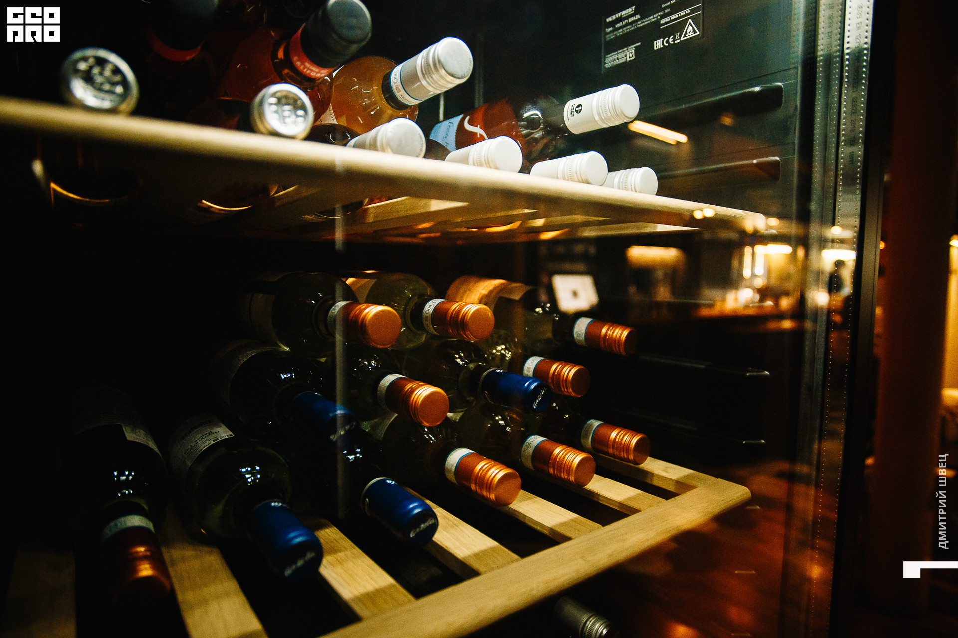 061  2021-11-05 21-11-41 Shvets_.jpg