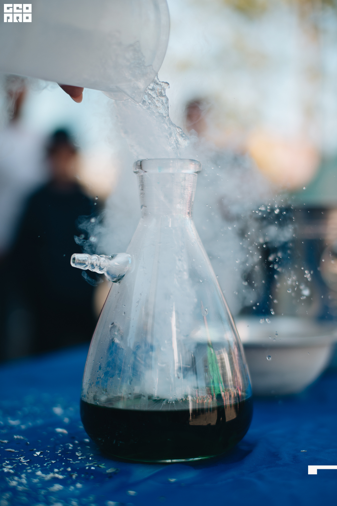 038 2022-06-01-172533_arseniyermakov.jpg