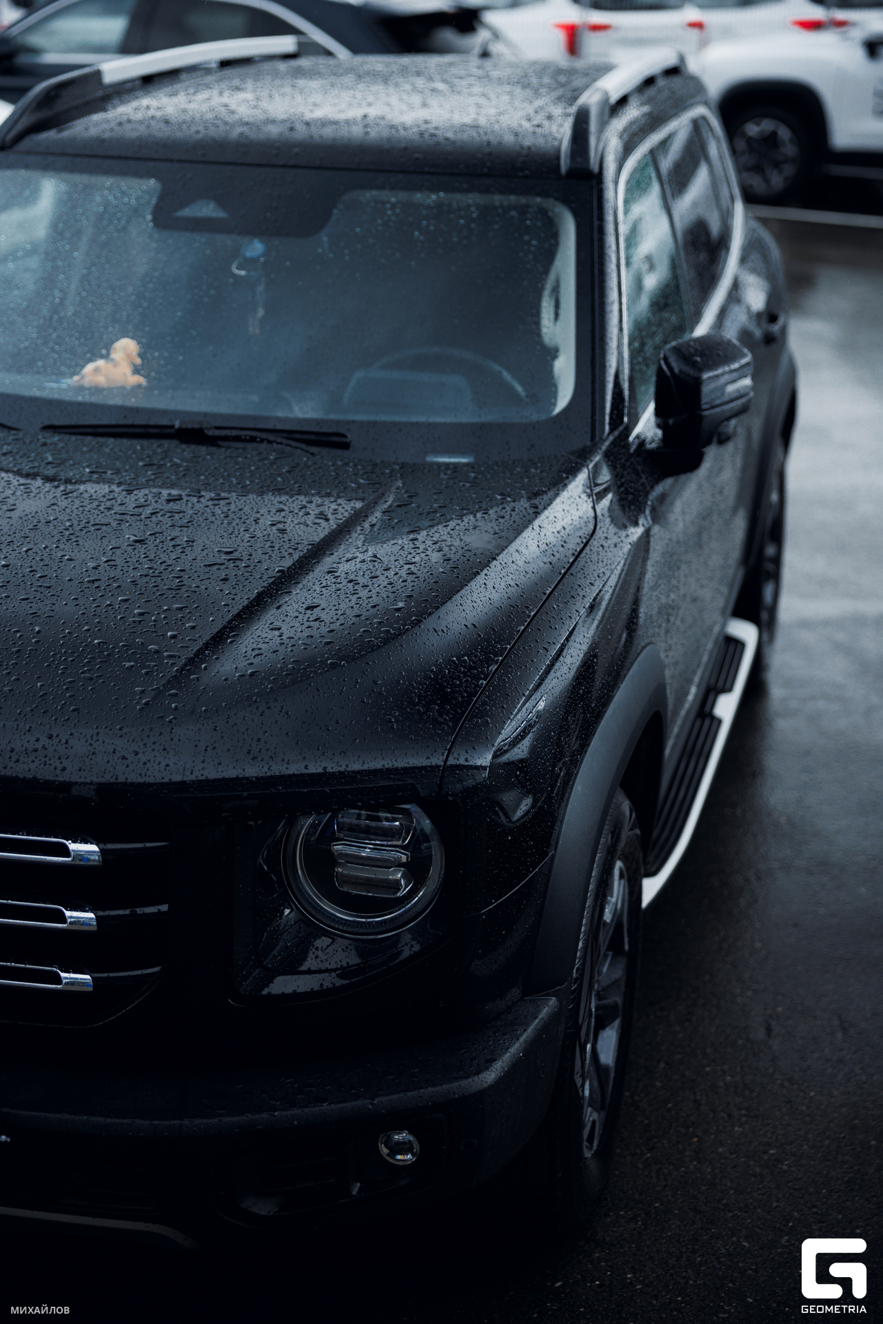 252-270625-4542 Mikhailov-web.jpg