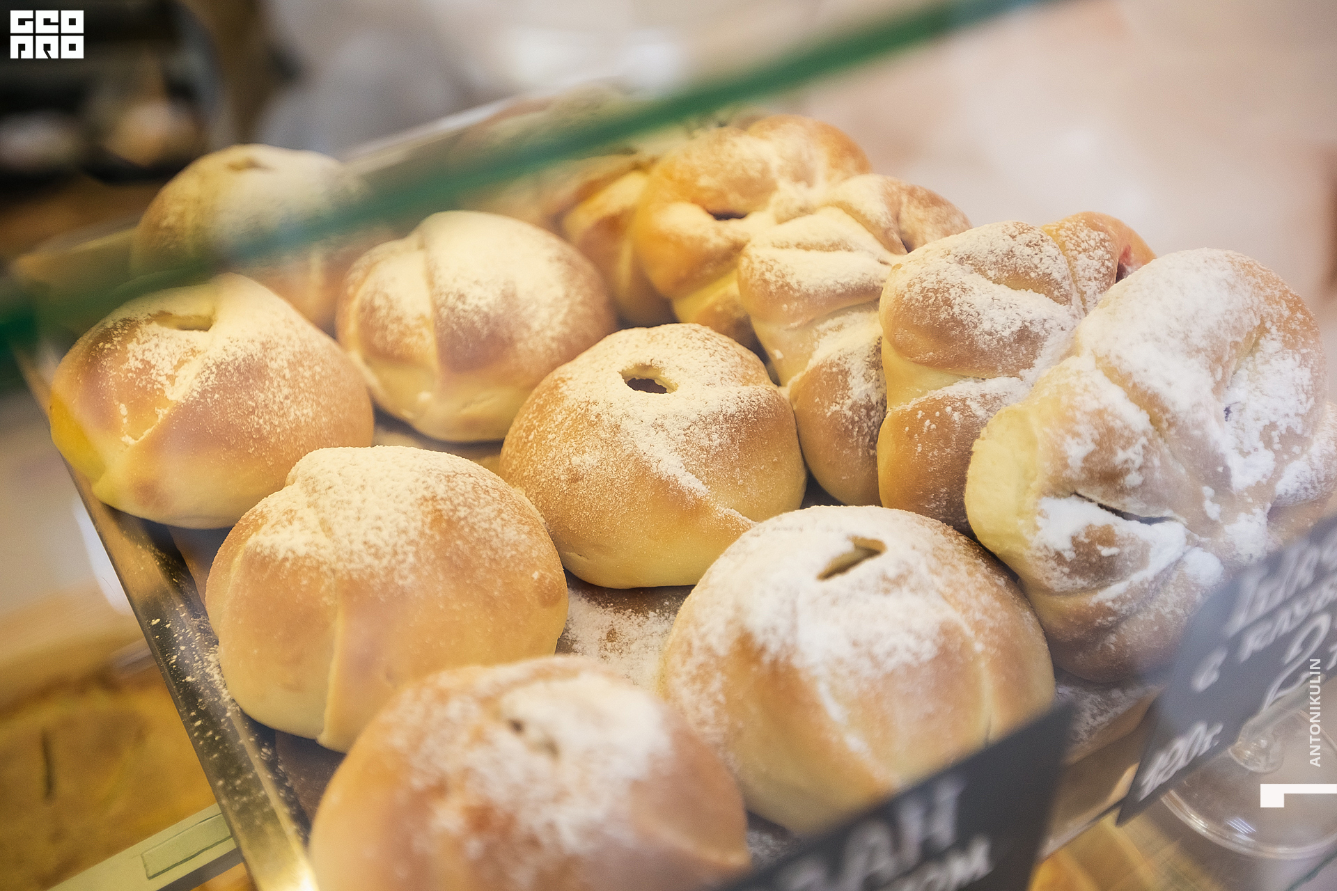 untitled shoot-9828.jpg