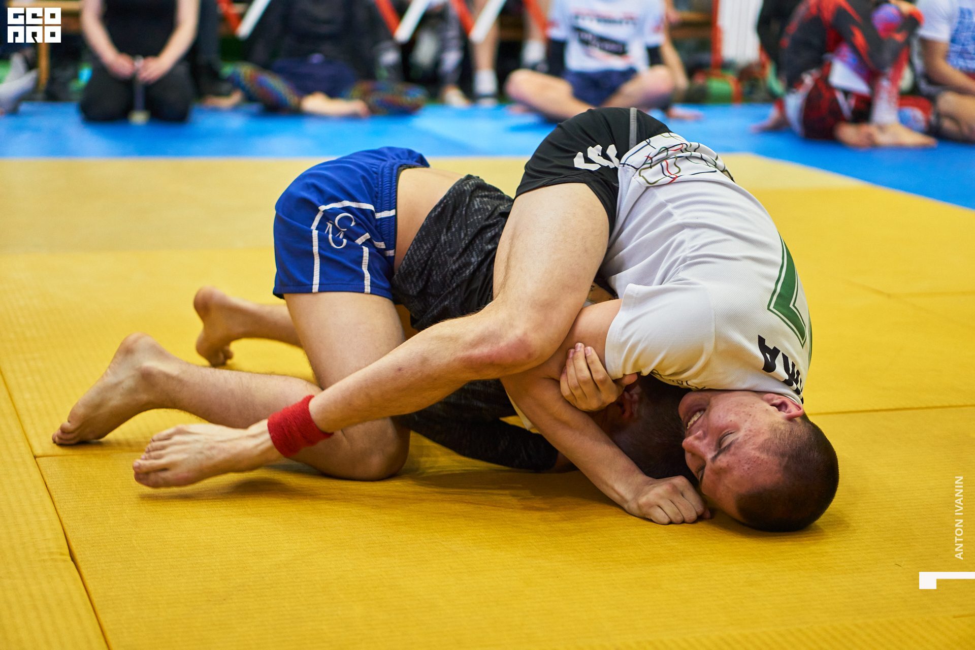 DSC09057 (Копировать).jpg