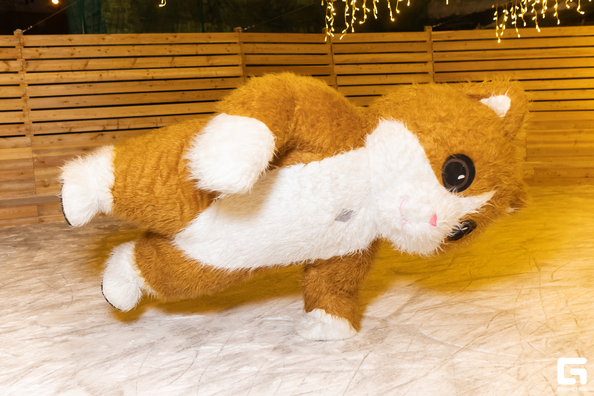 2023.12.27 Каток 058.jpg