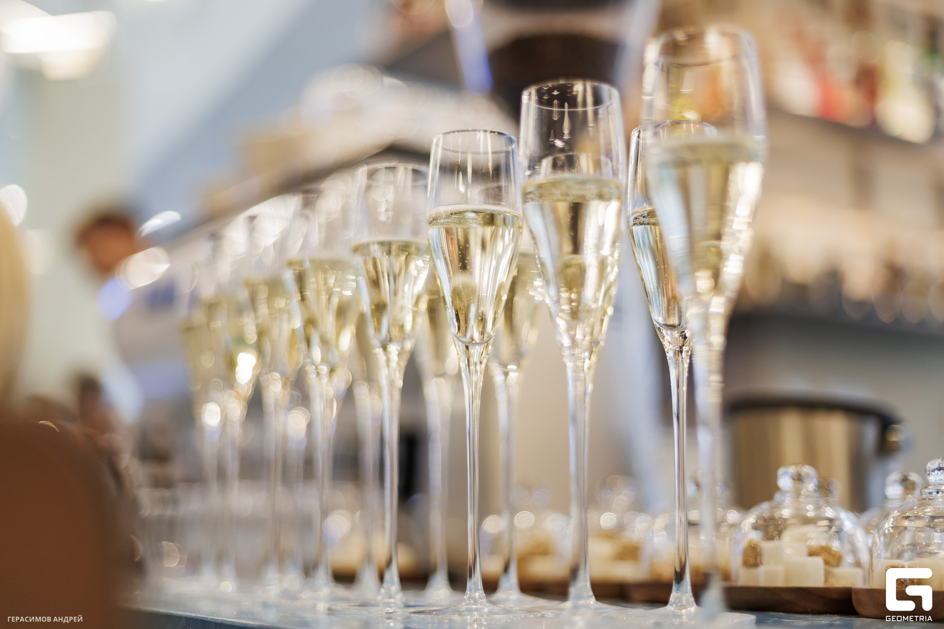 007 Черноморские гады 26. 04.jpg