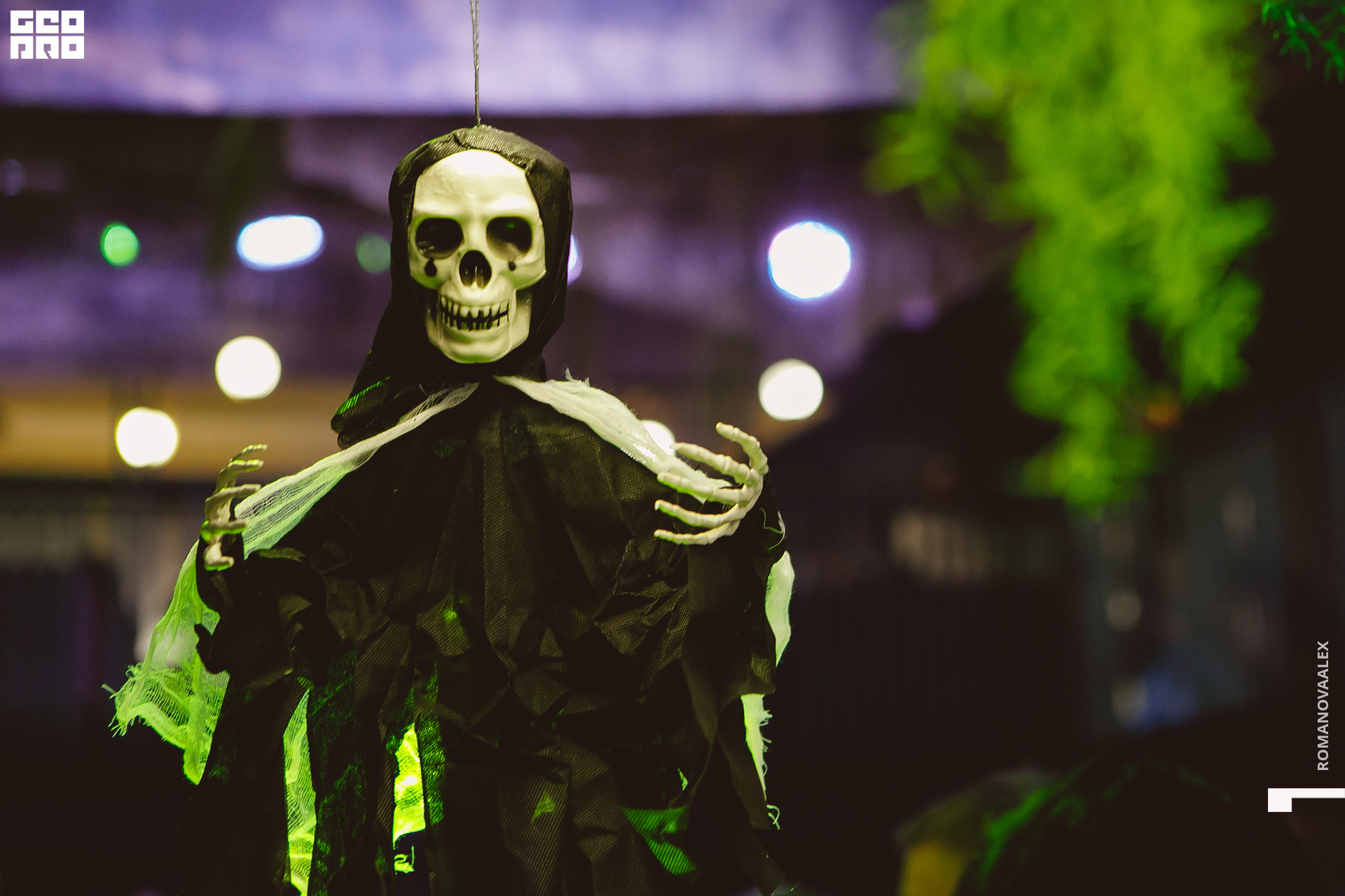 041 311022  014053 @romanovaalex.jpg