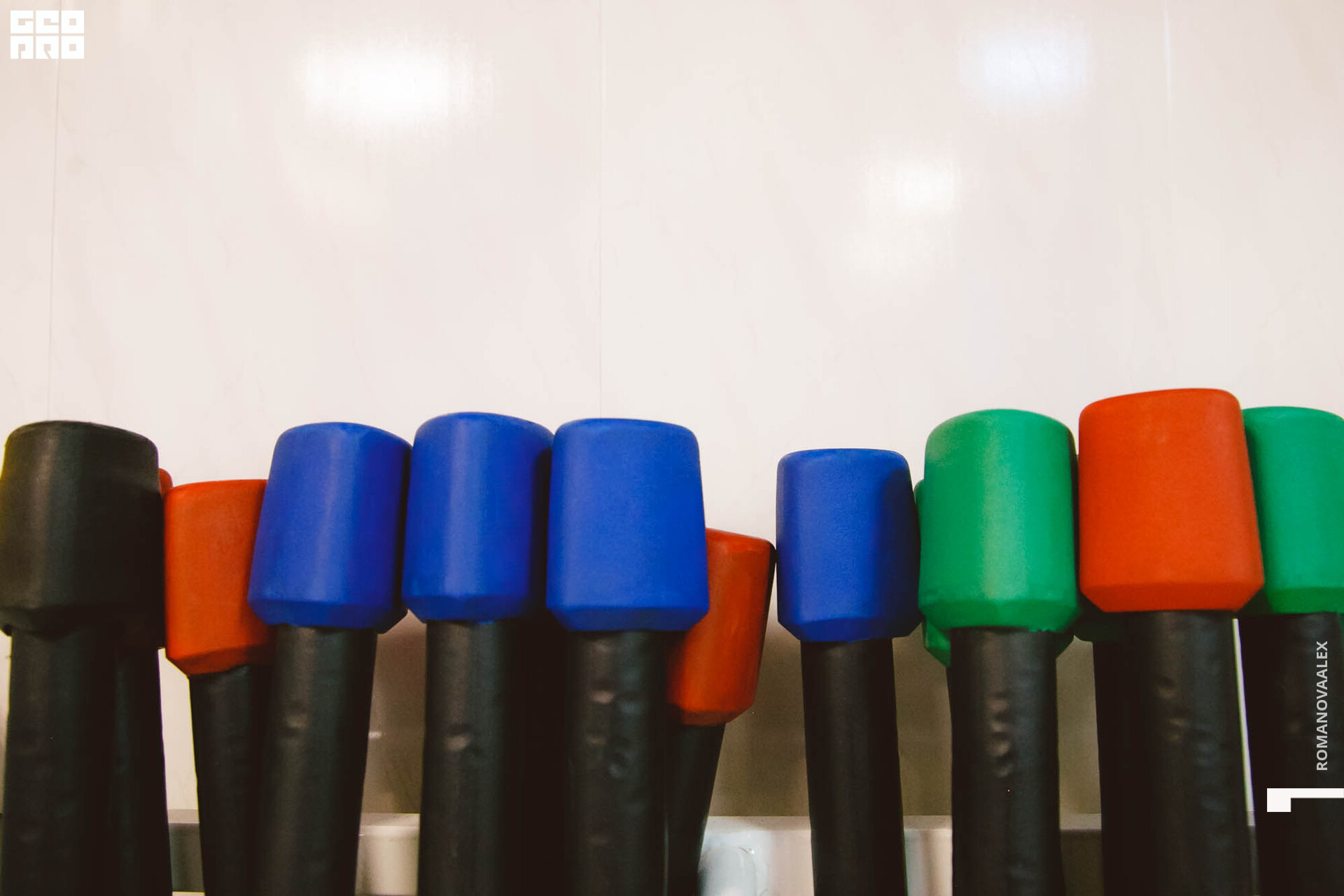 194 211127  102634 _ale_romanova.jpg