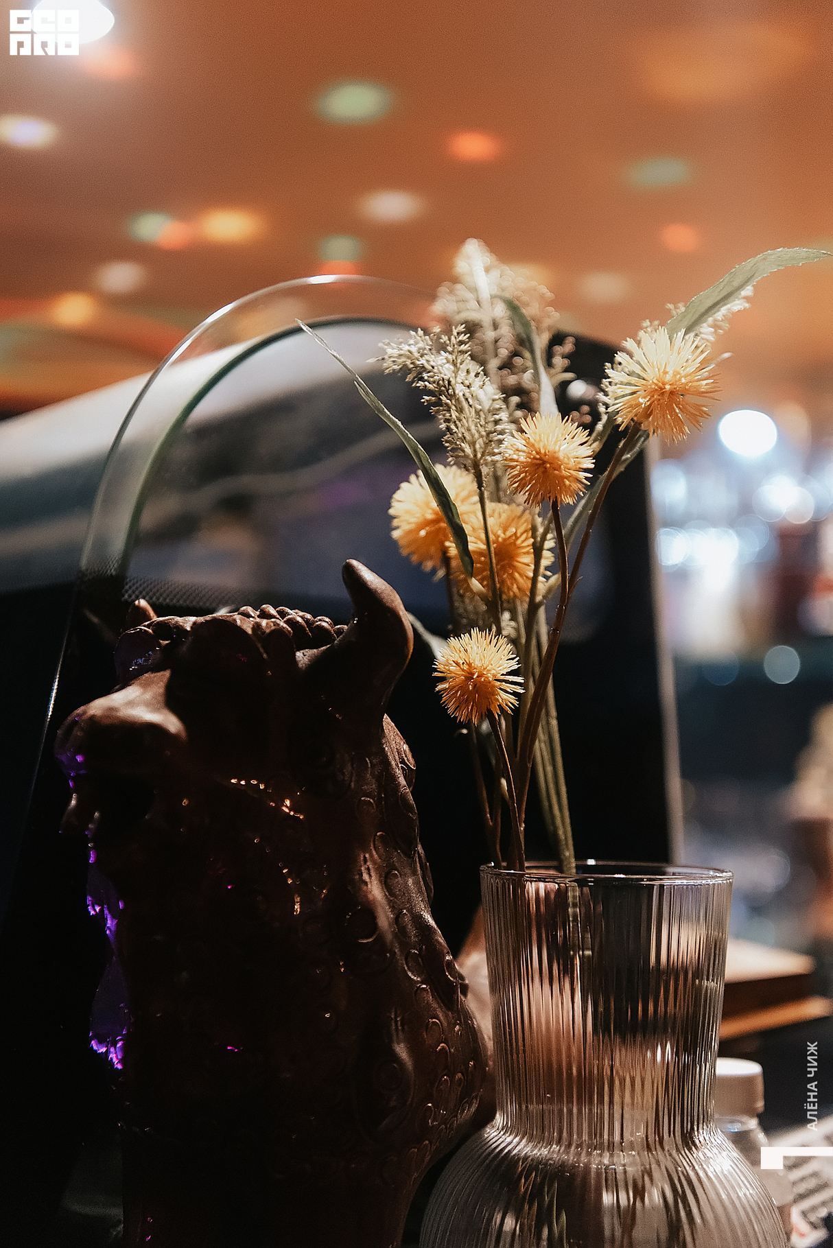 Препати DJ-cafe в «Жёлтом Шкафу» 9