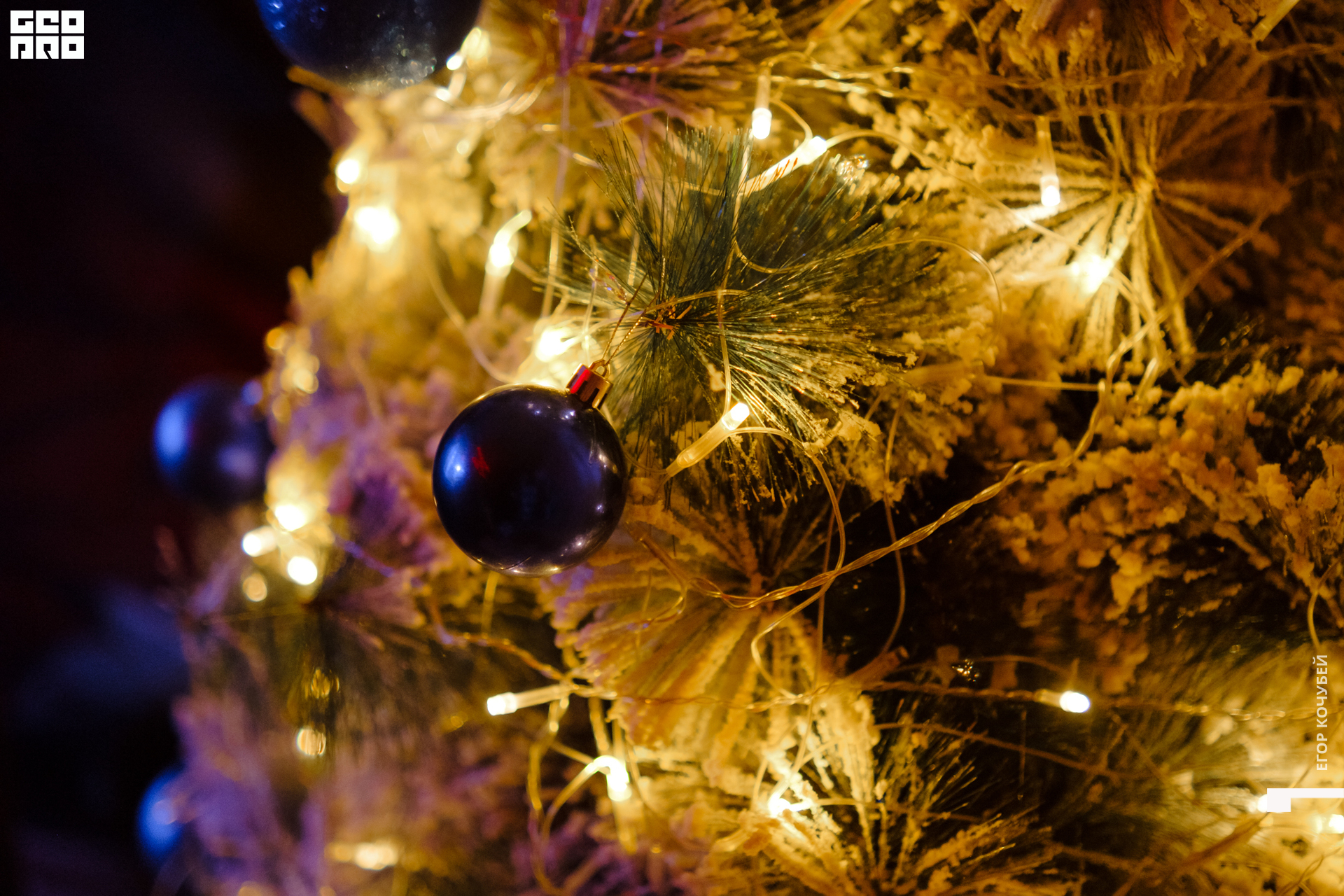 230101 Кочубей 002.jpg