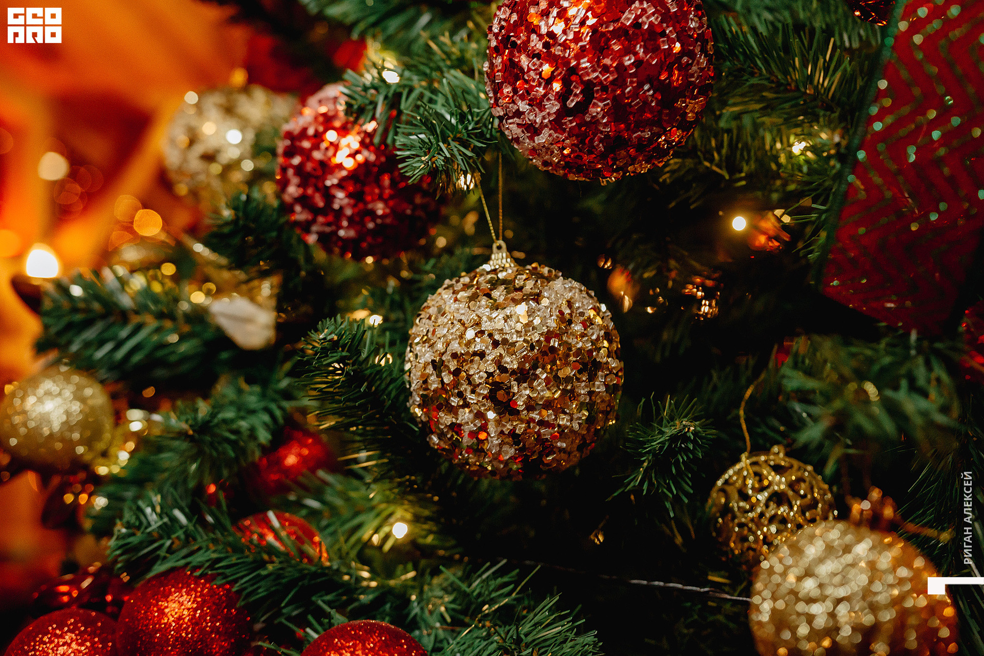 ПЯТОЕ КОЛЕСО НГ 2023 00124.jpg