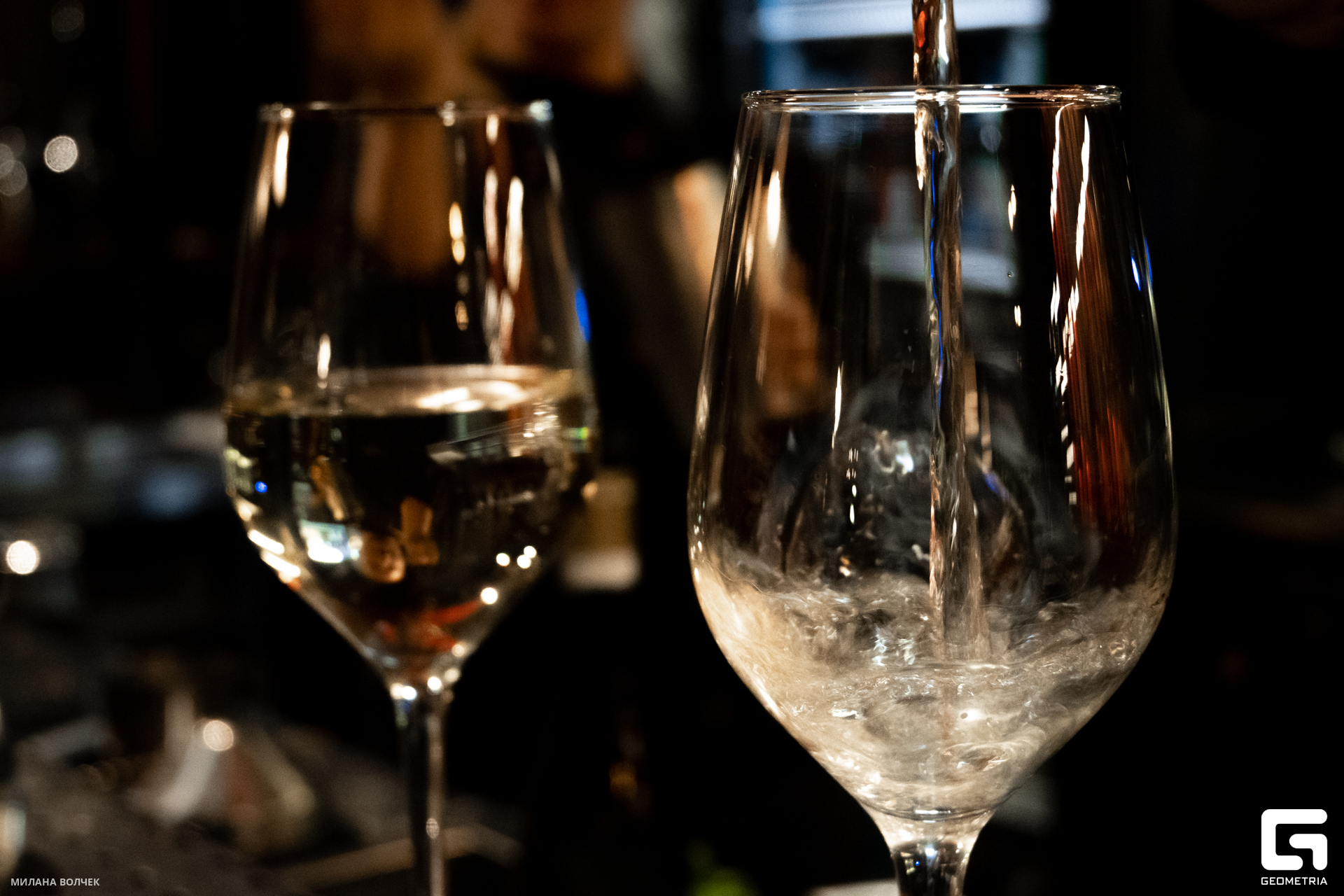 036_20231201 Волчек.jpg