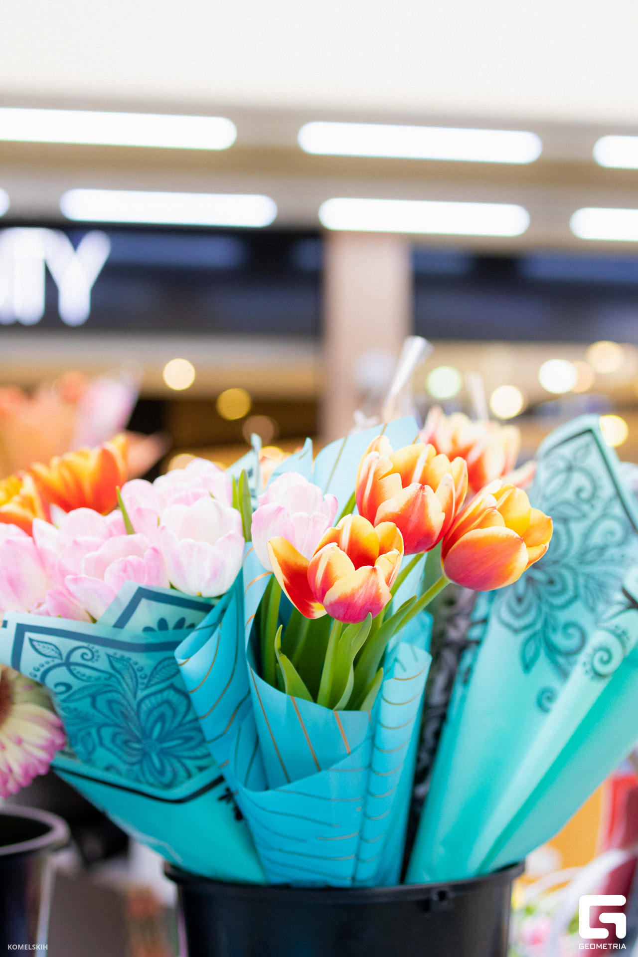 011 - 08_03_23 - 14_34_11 - Komelskih.jpg