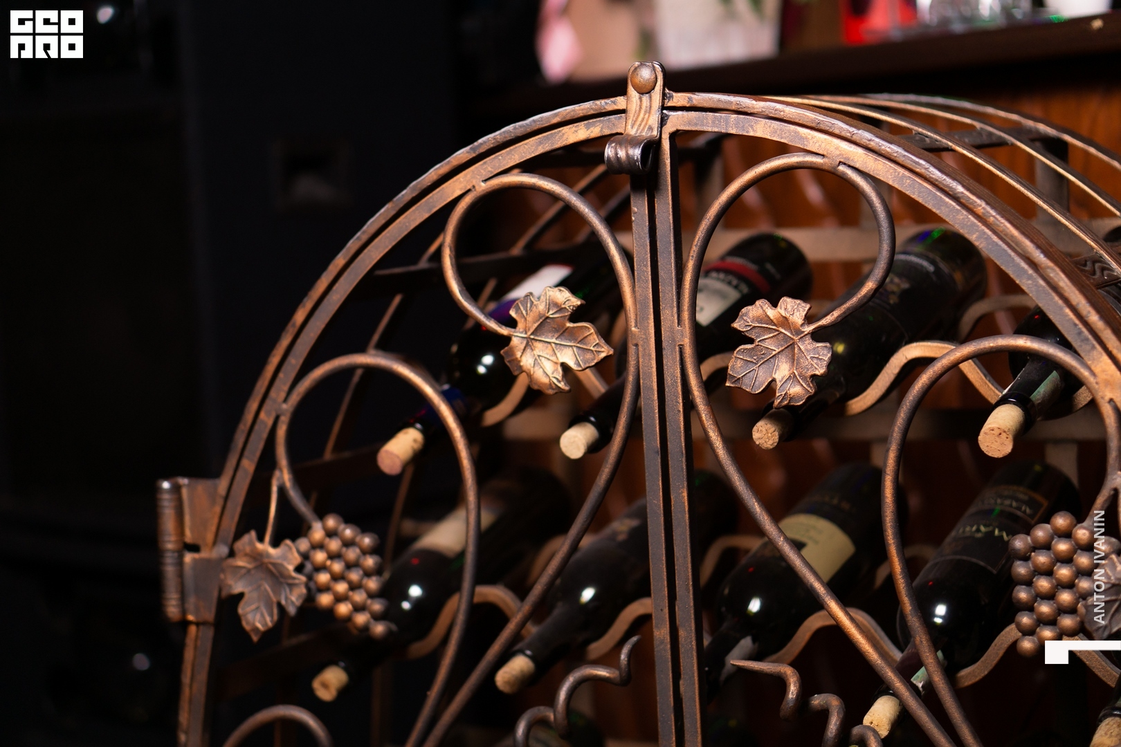 DSC08126 (Копировать).jpg