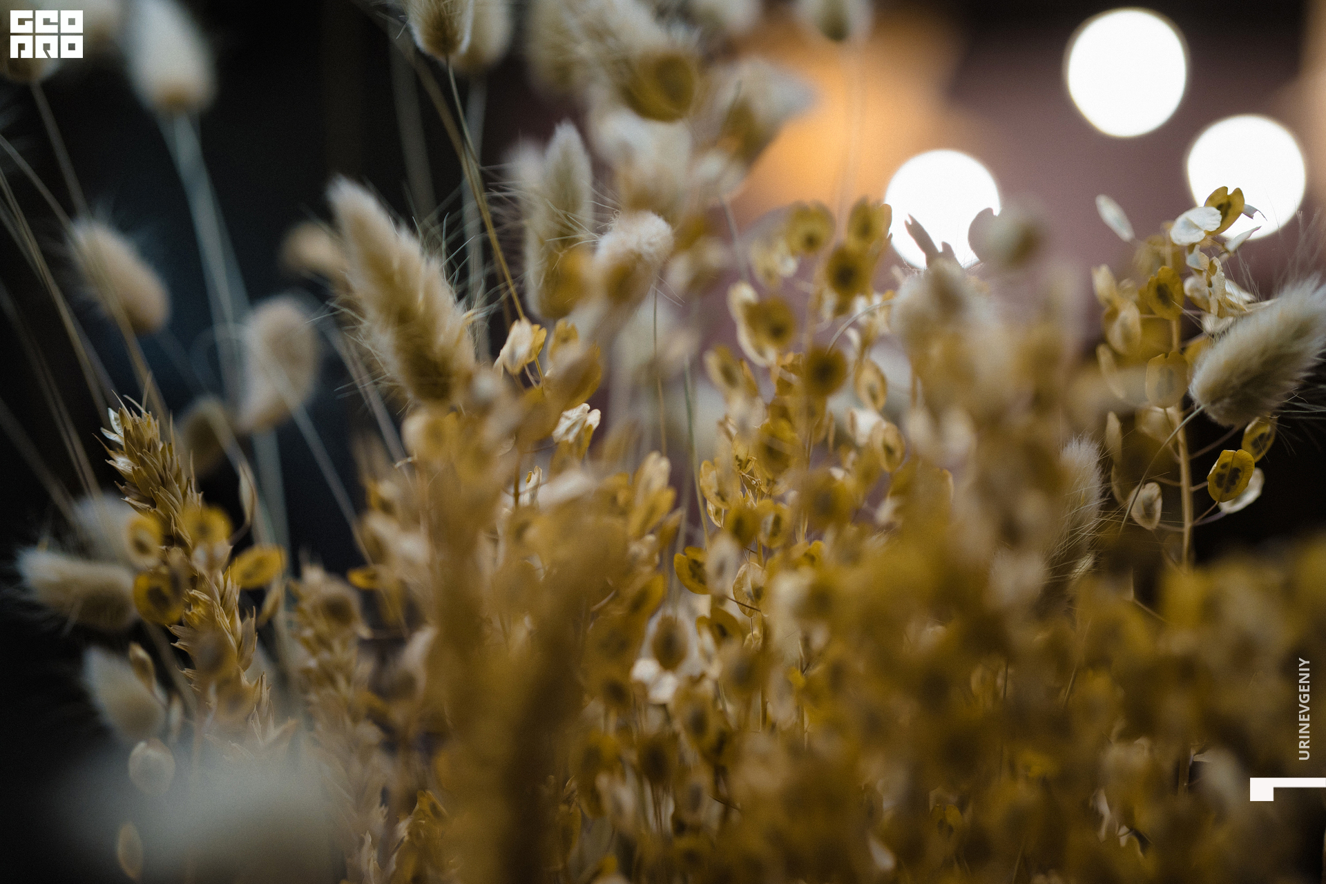 11.12.2020. Каре (34).jpg