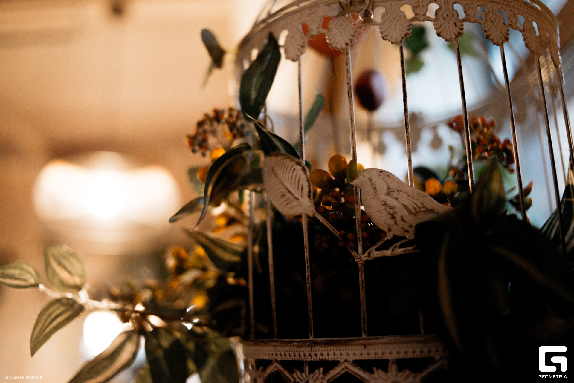 010_20230804 Волчек.jpg