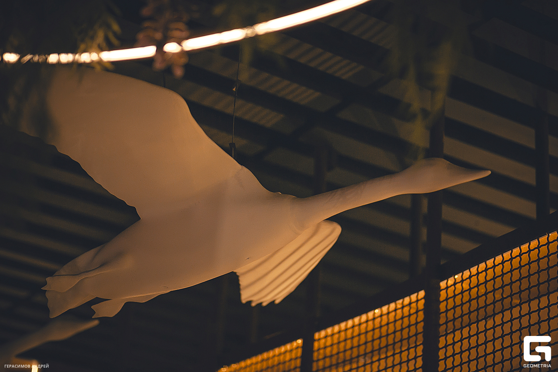 016 Gussi 28. 02.jpg