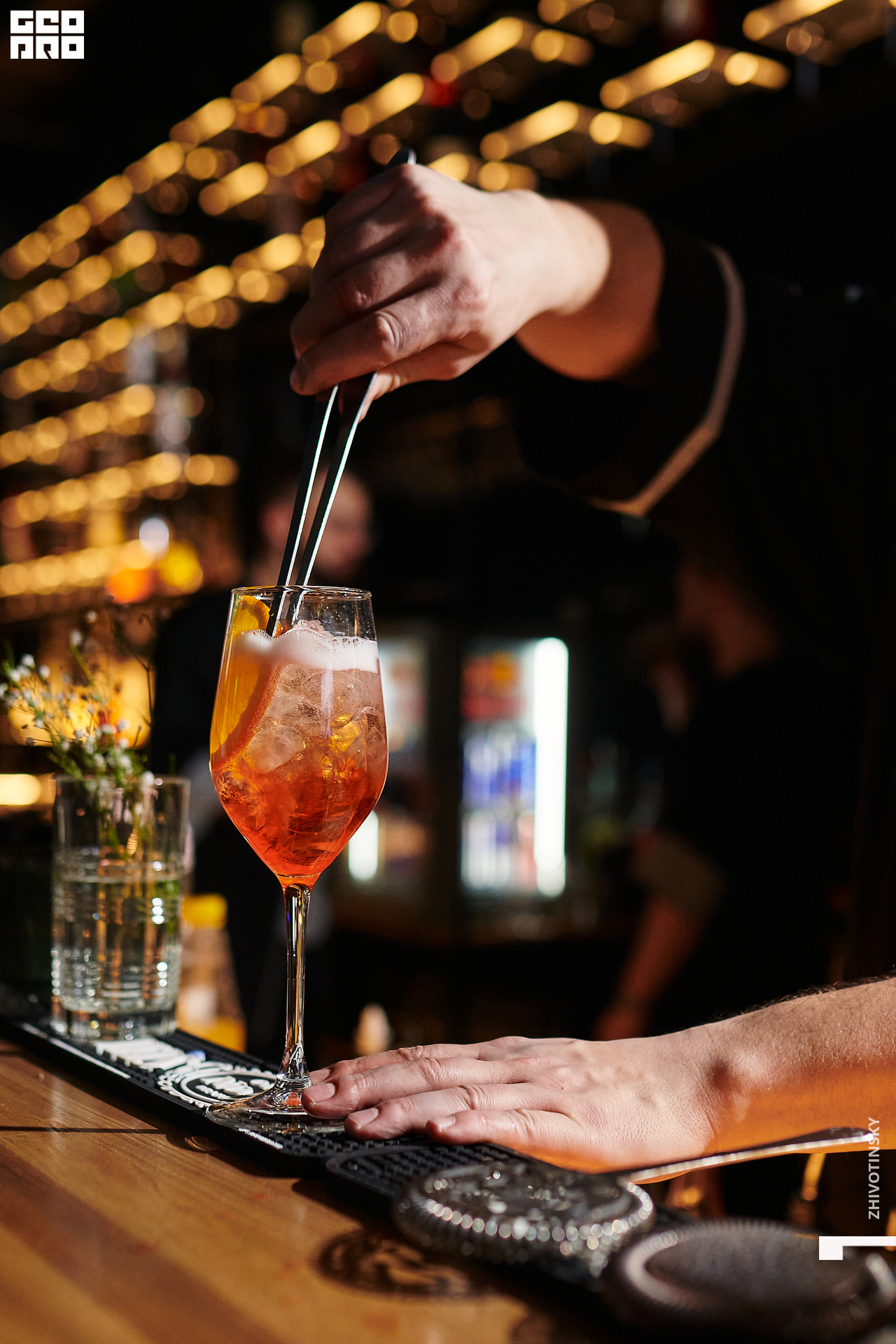 080_08-03-22_2-14 _Zhivotinsky.jpg