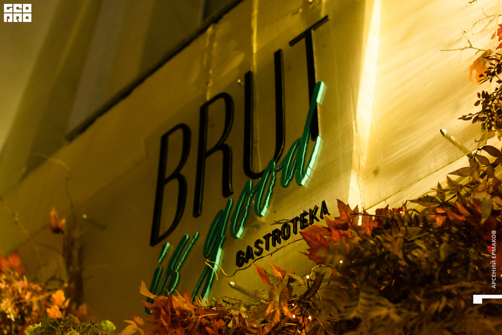 047 111822221135_arseniyermakov.jpg