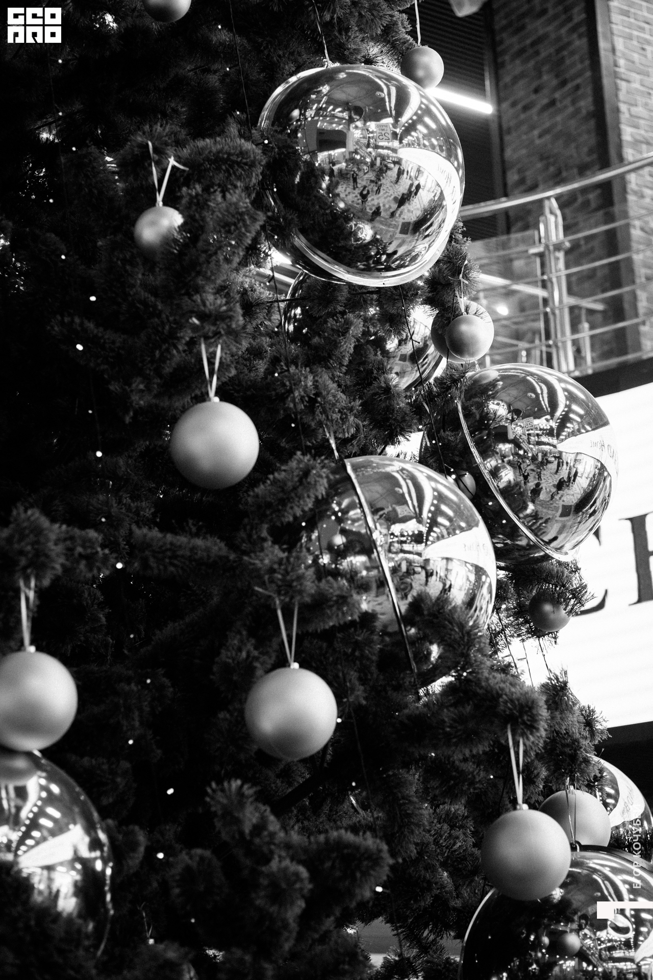 20211218 Кочубей 003.jpg