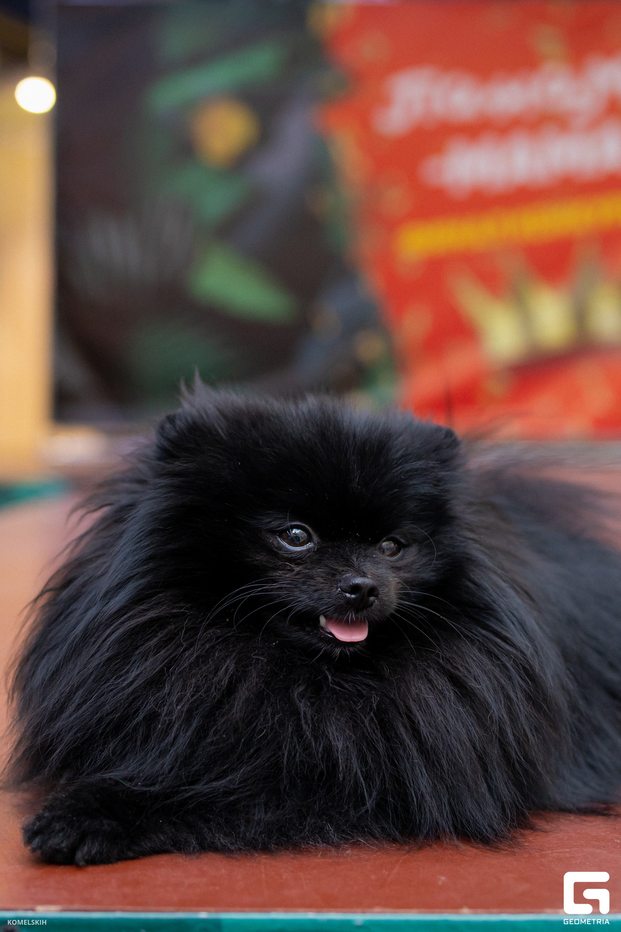 002 - 08_03_23 - 14_30_38 - Komelskih.jpg