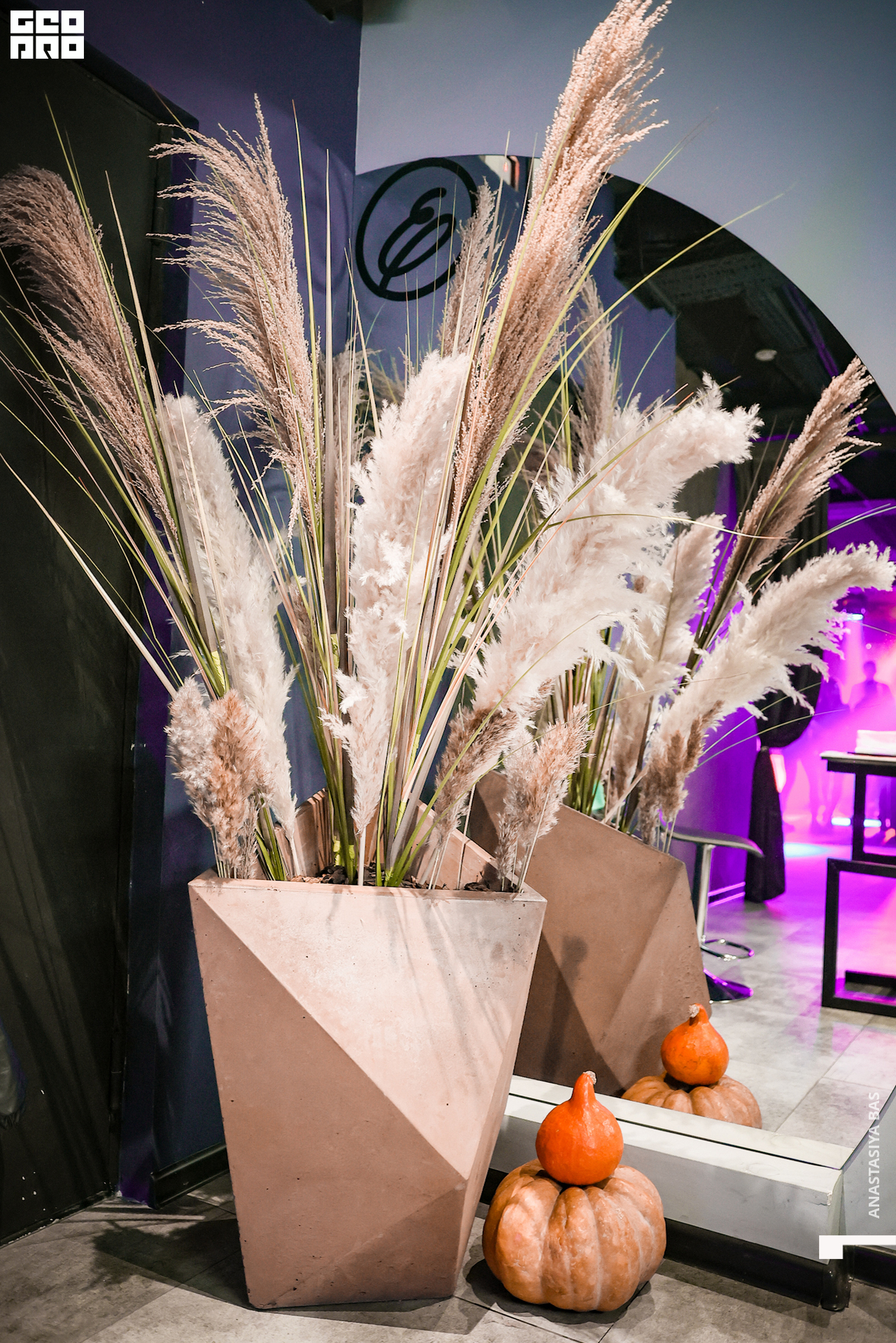 20.11.21 Elixir. Анастасия Бас-494.jpg