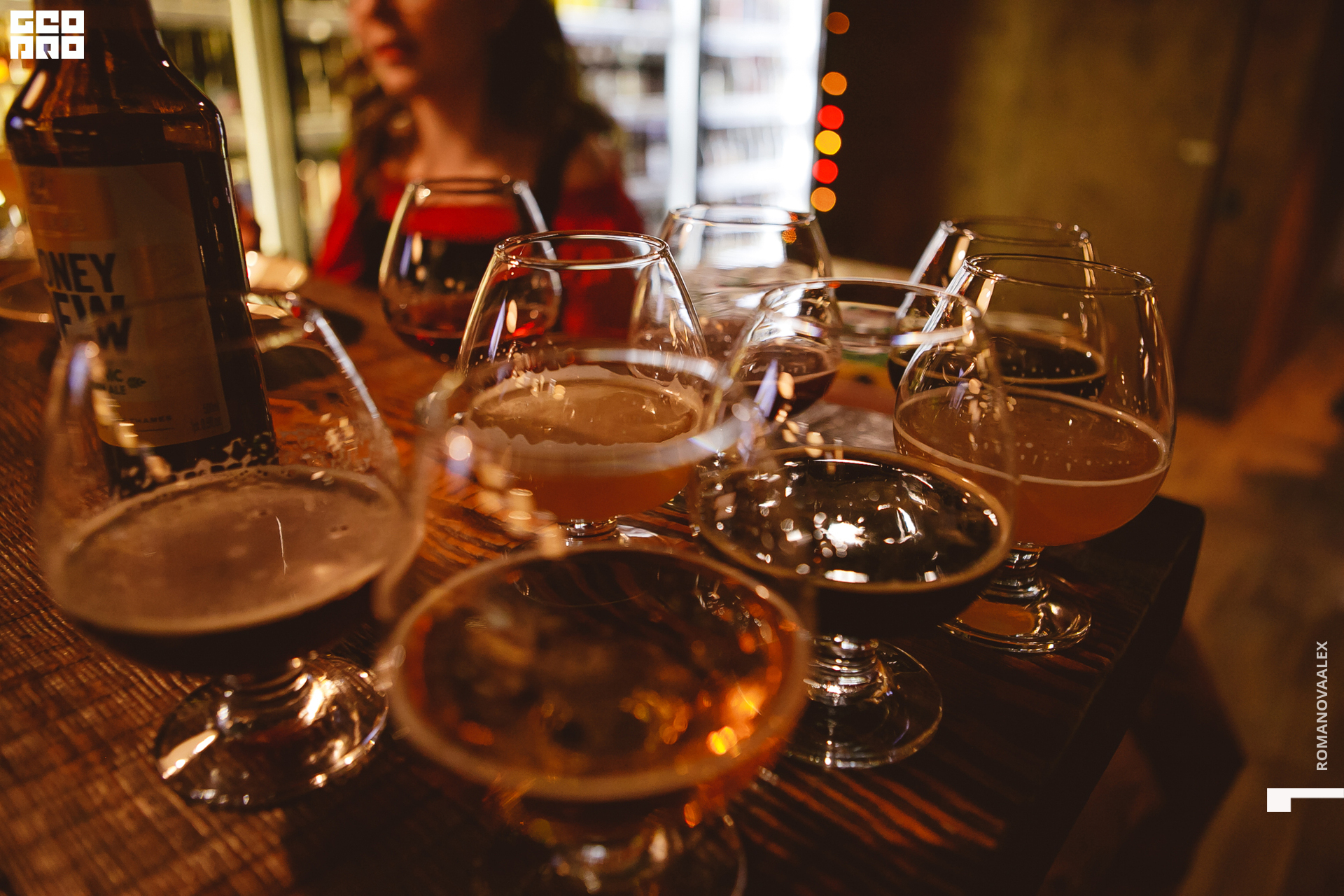 014  ale_romanova.jpg