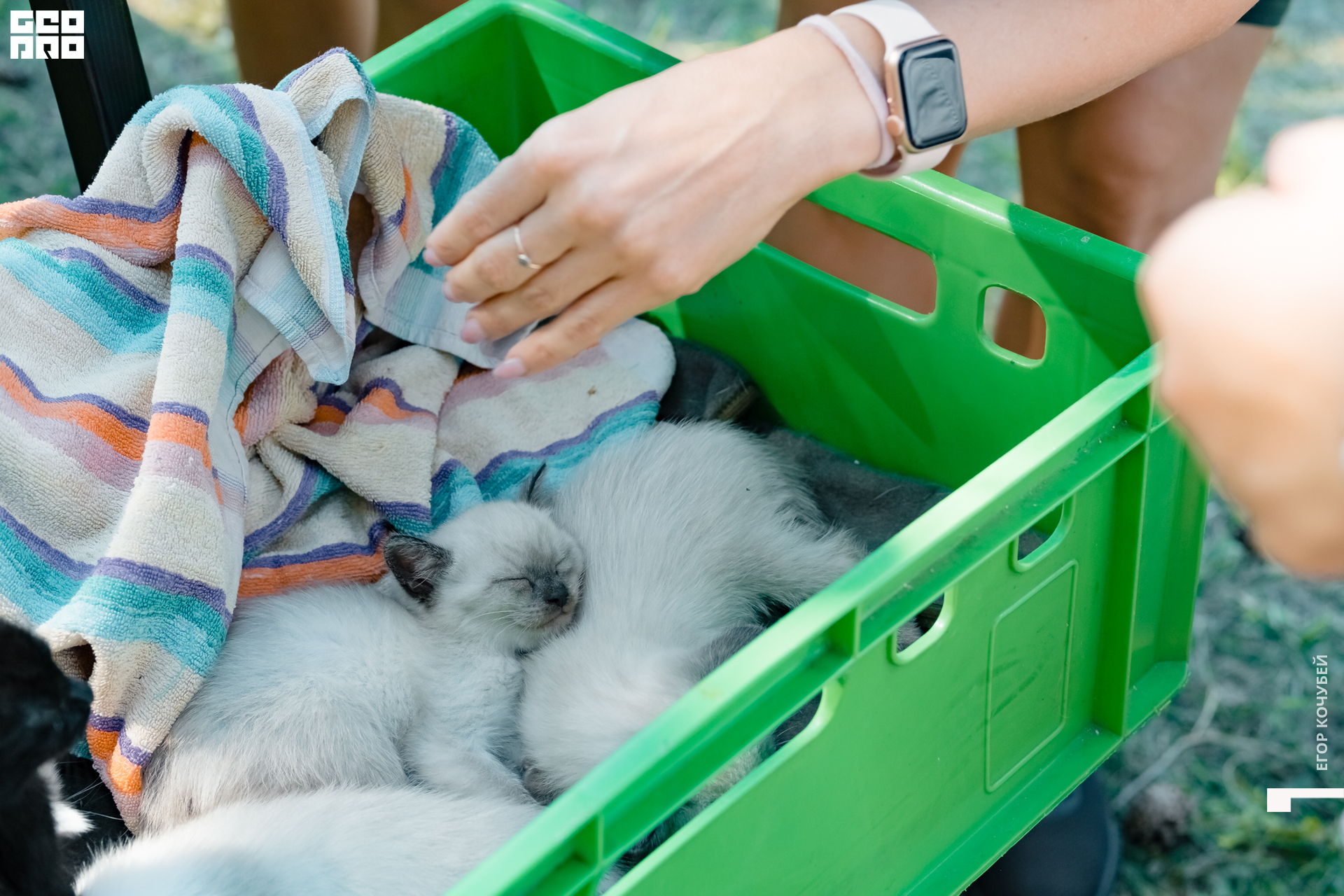 220813 Кочубей 075.jpg