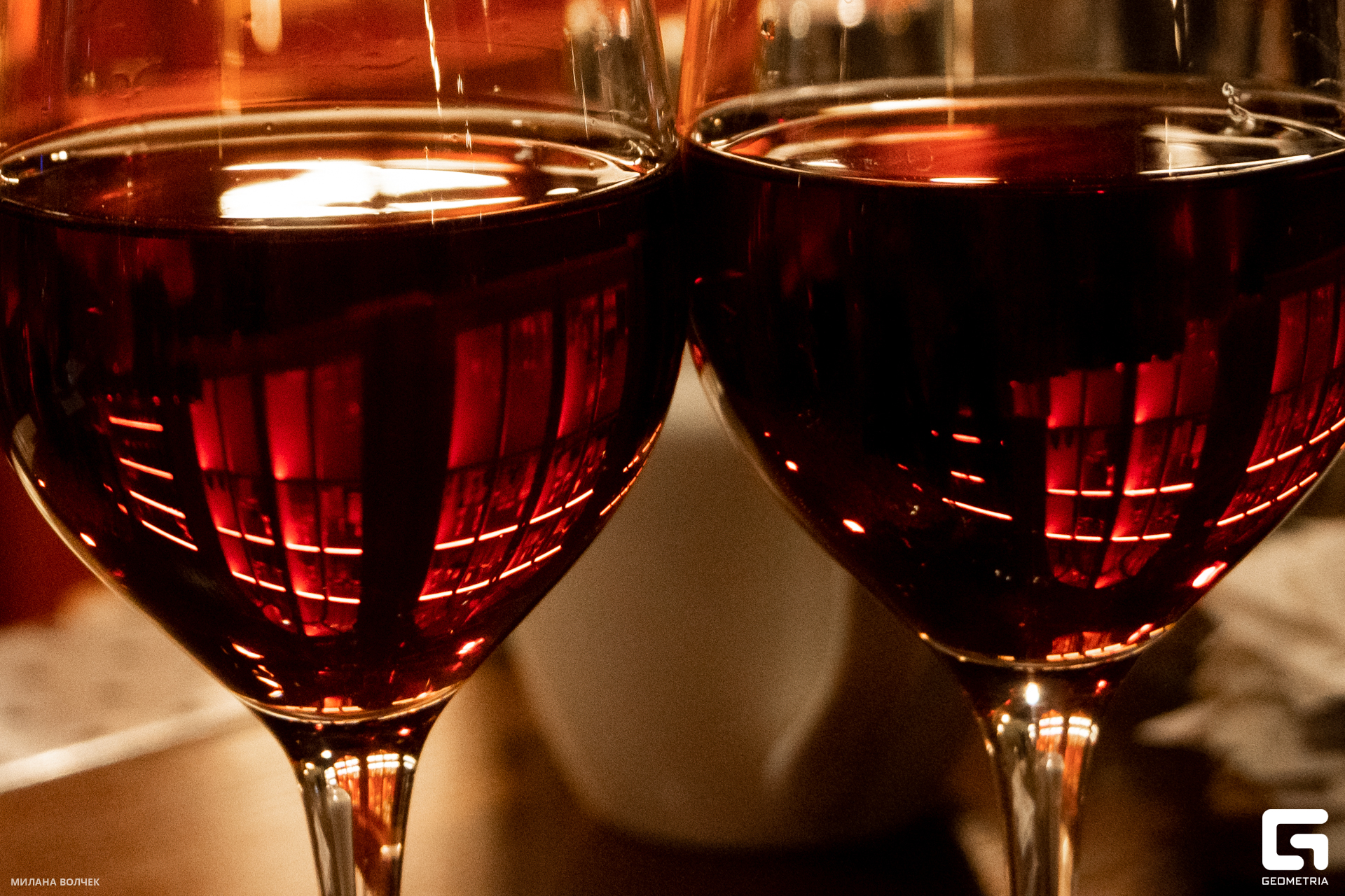 026_20231201 Волчек.jpg