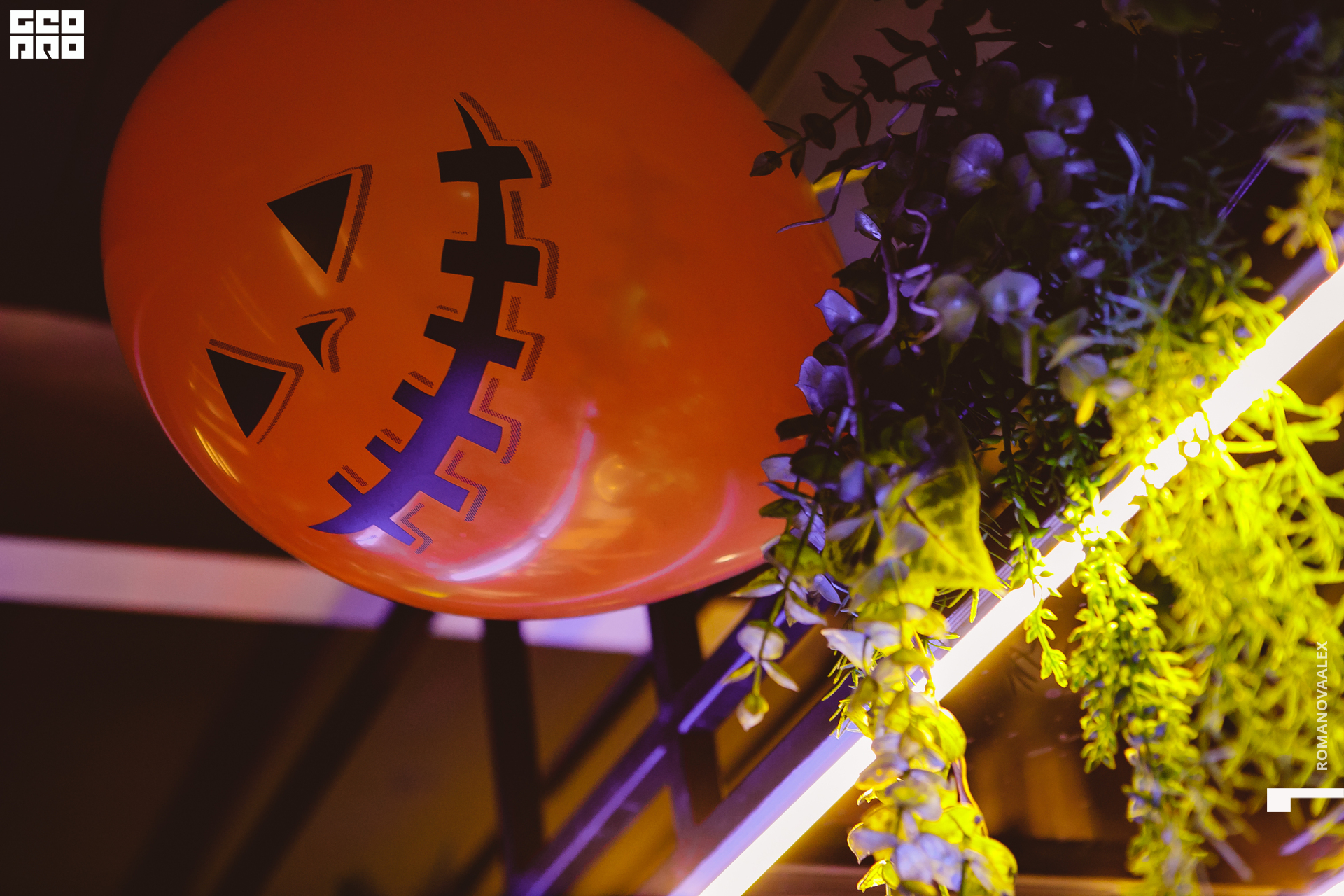 029 311022  014053 @romanovaalex.jpg