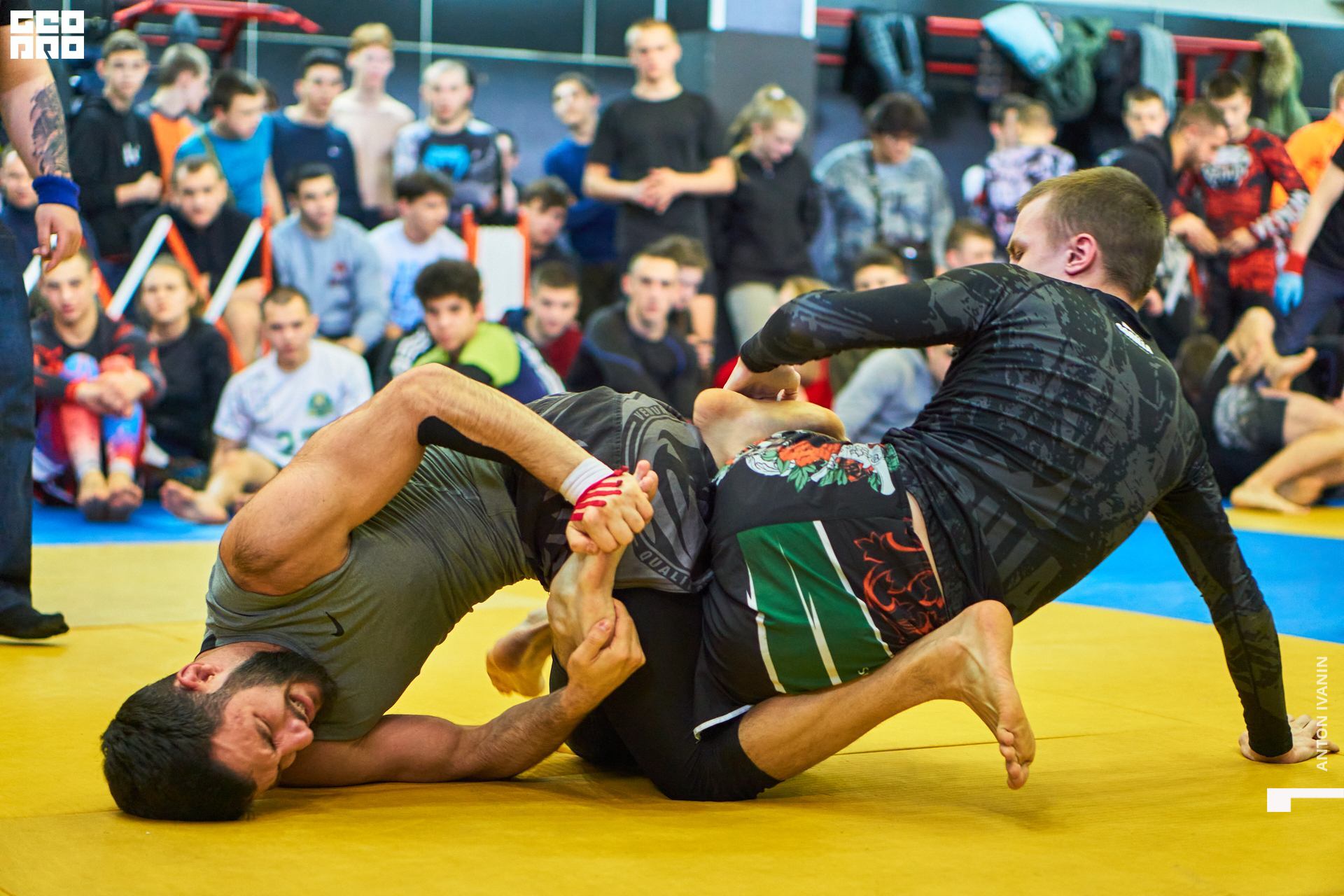 DSC08876 (Копировать).jpg