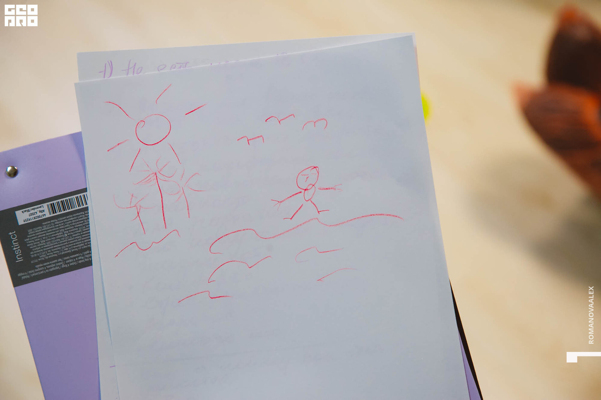 487 211127  150601 _ale_romanova.jpg