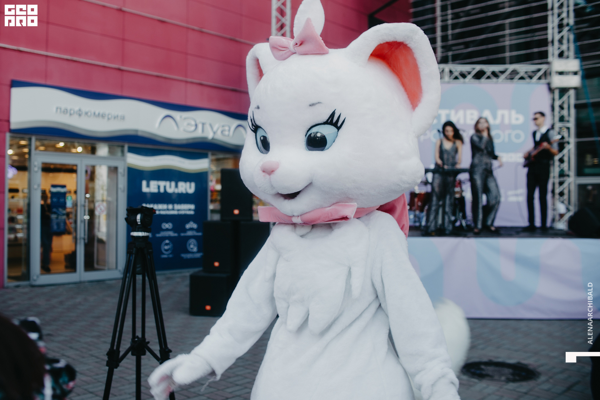 2022-09-03 12-00-10_alenaarchibald031.jpg