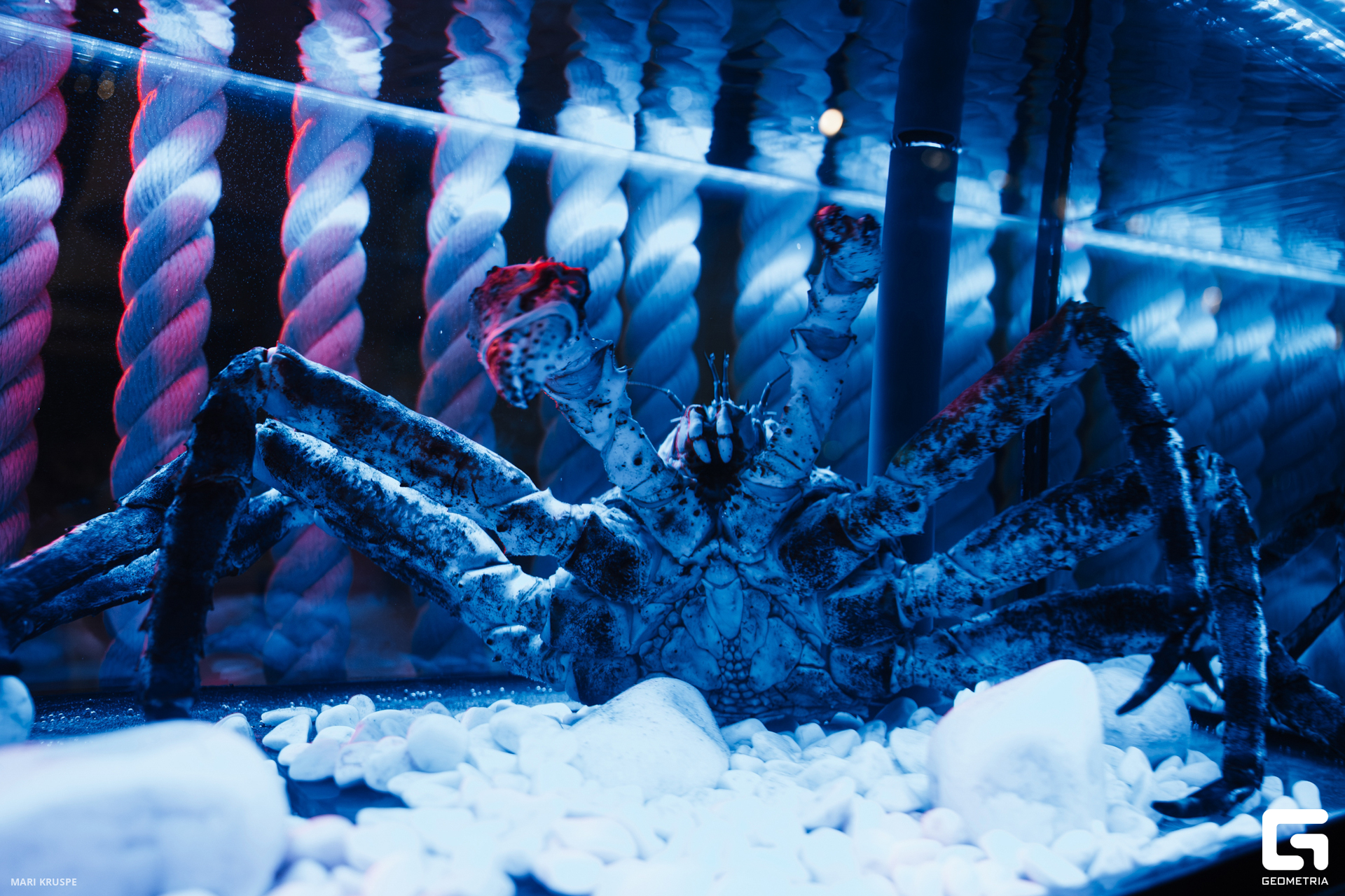 MARI9464-Улучшено-Ум. шума.jpg