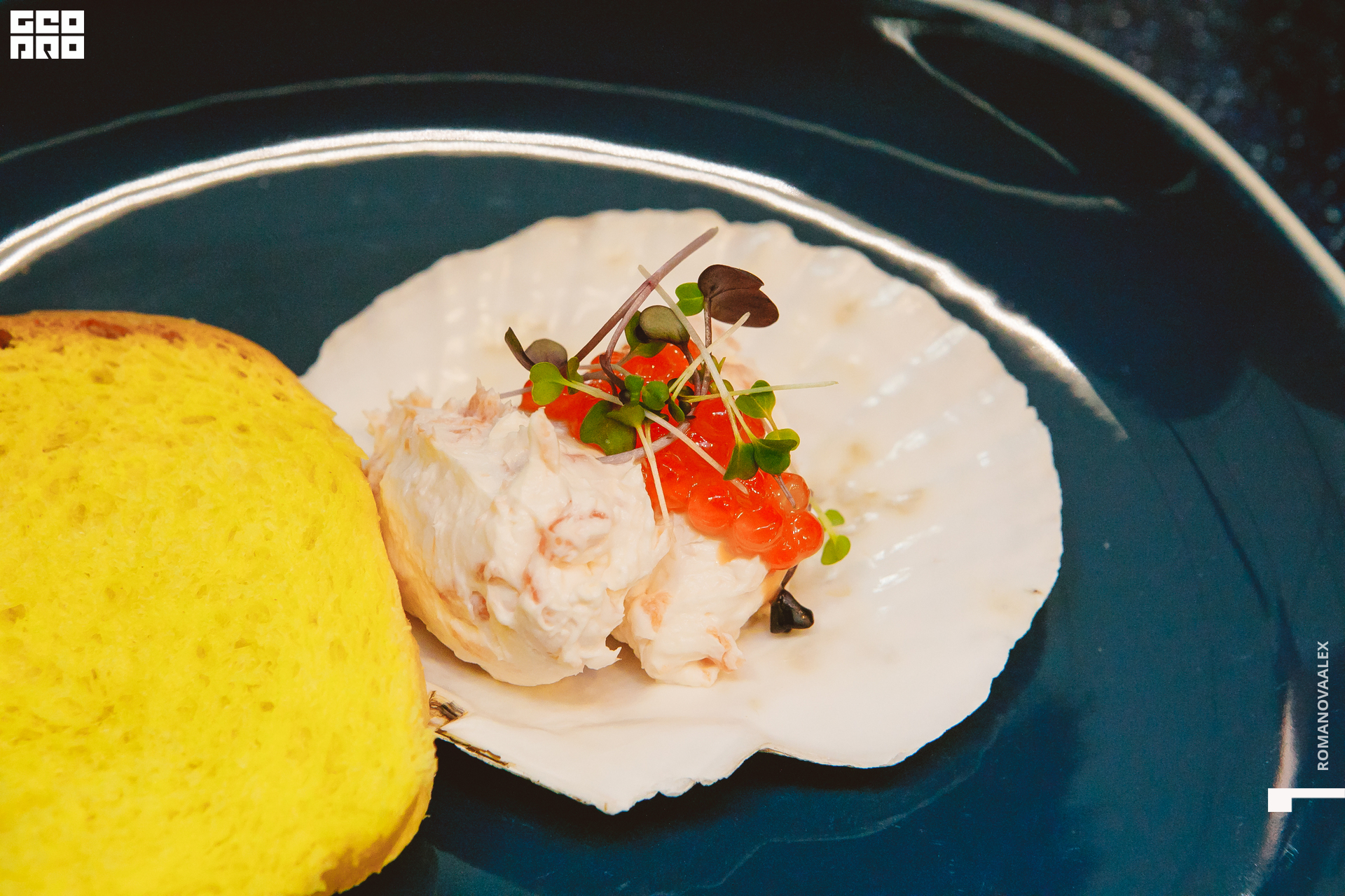 027 201122  195226 @romanovaalex.jpg