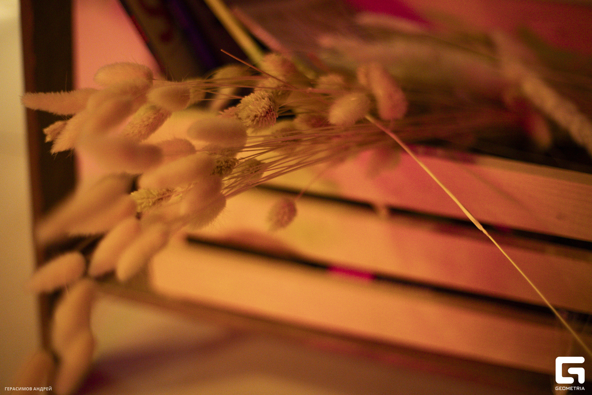 082 В вине 22 03.jpg