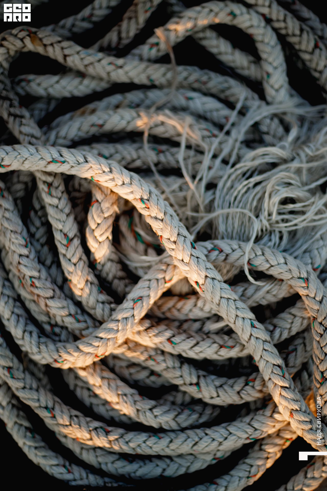 640_22-07-10 ISAEVA.jpg