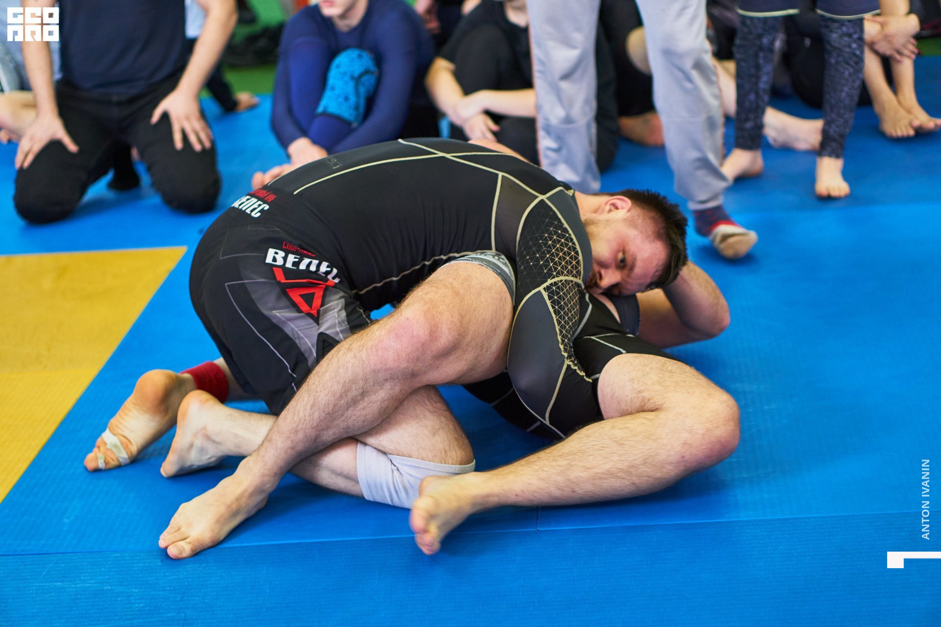 DSC09207 (Копировать).jpg