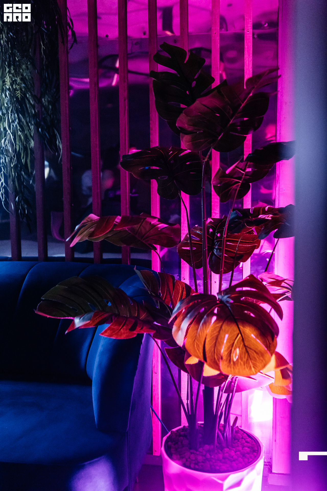 Фотограф Максим Мельников-21.jpg