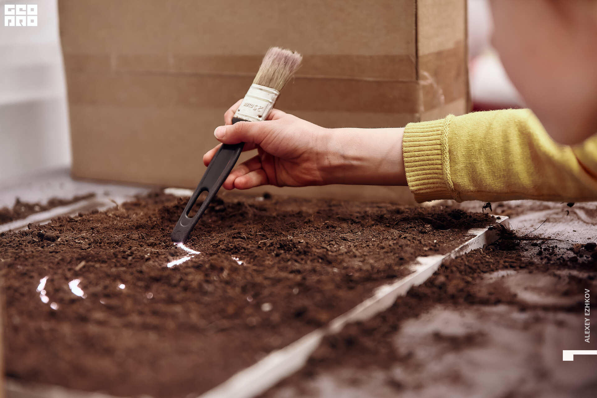 Арсенал 35.jpg