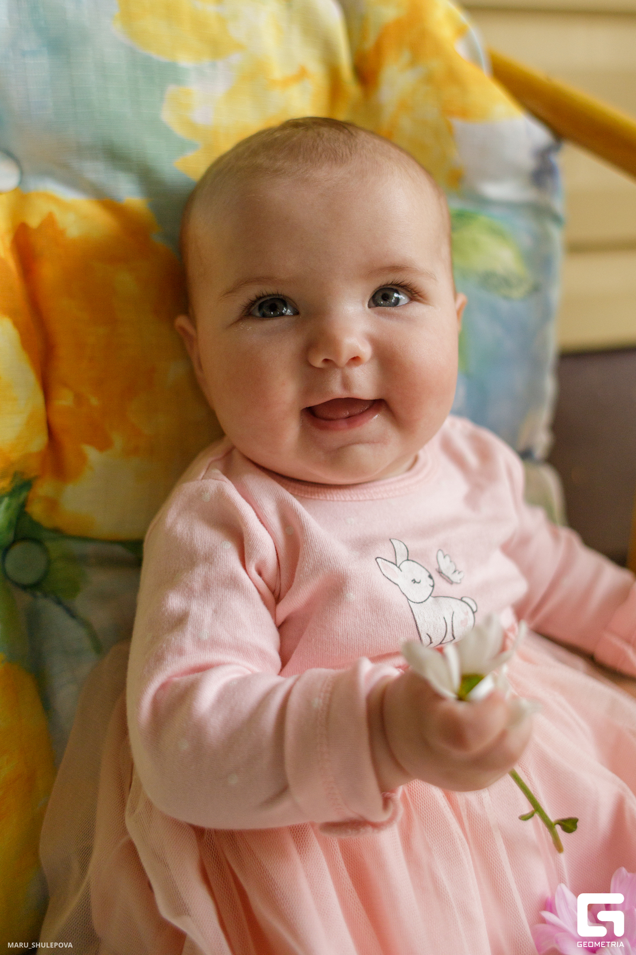 домик мечты-250.jpg